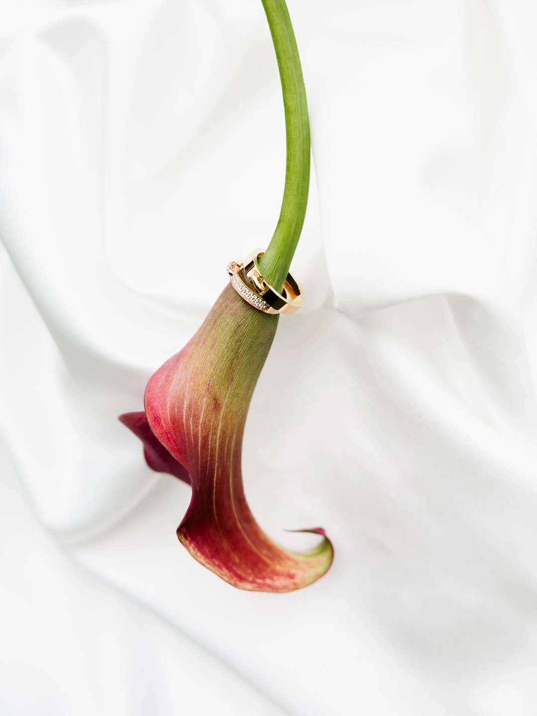 A lille throwback to this dreamy photoshoot with these two lovebirds 🤍