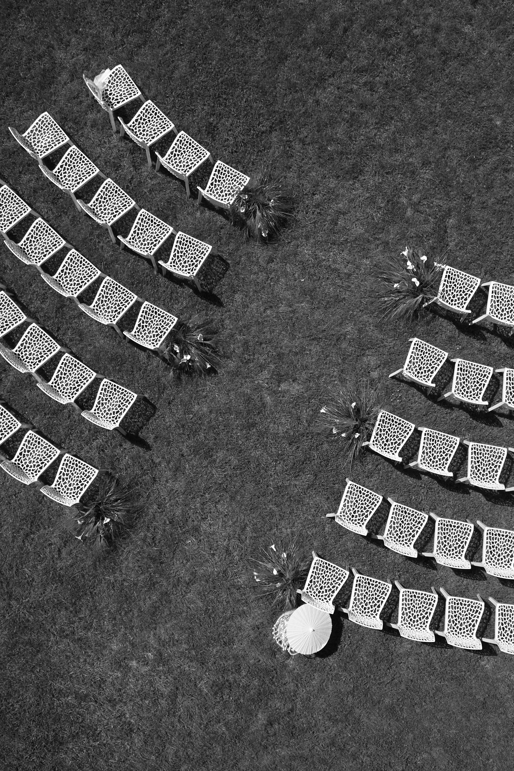 DJI_0233.jpg