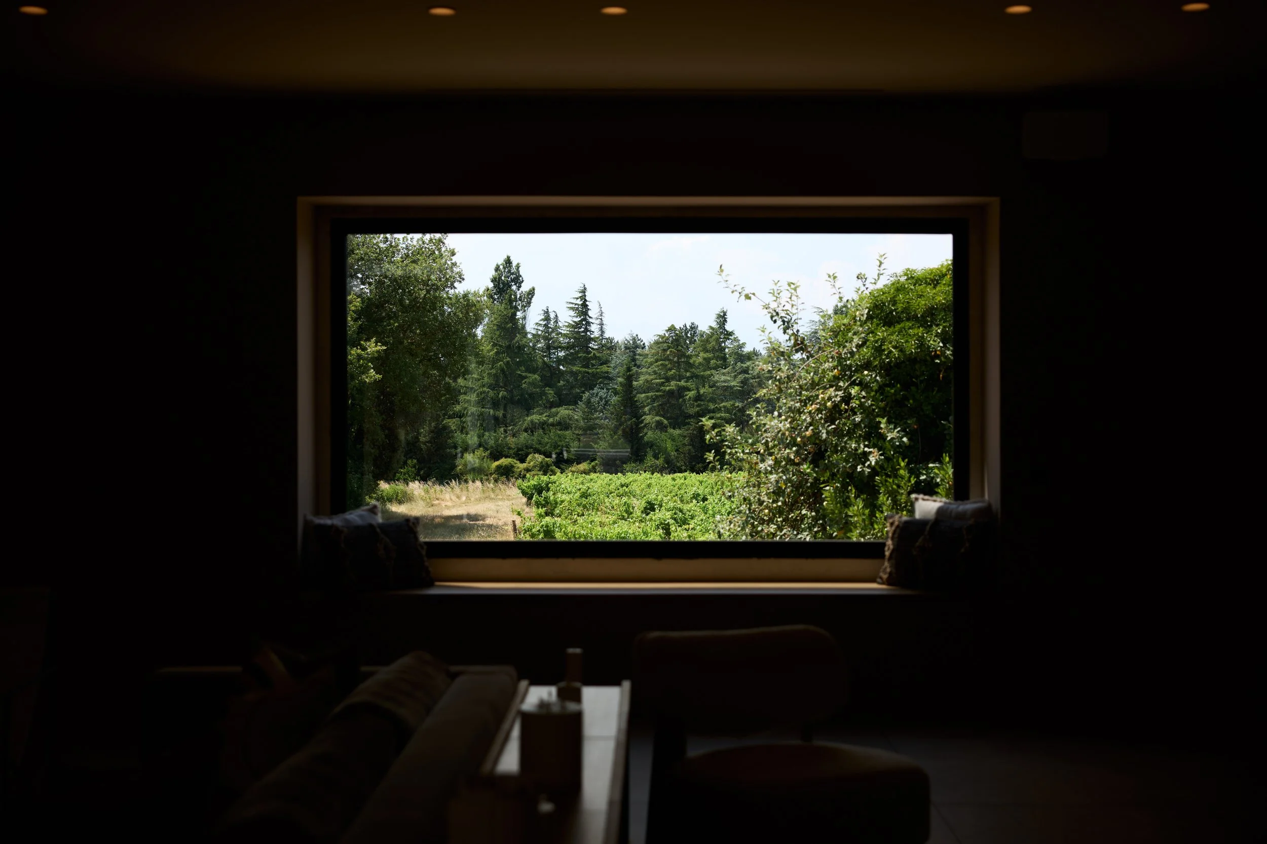 A27A5455.jpg