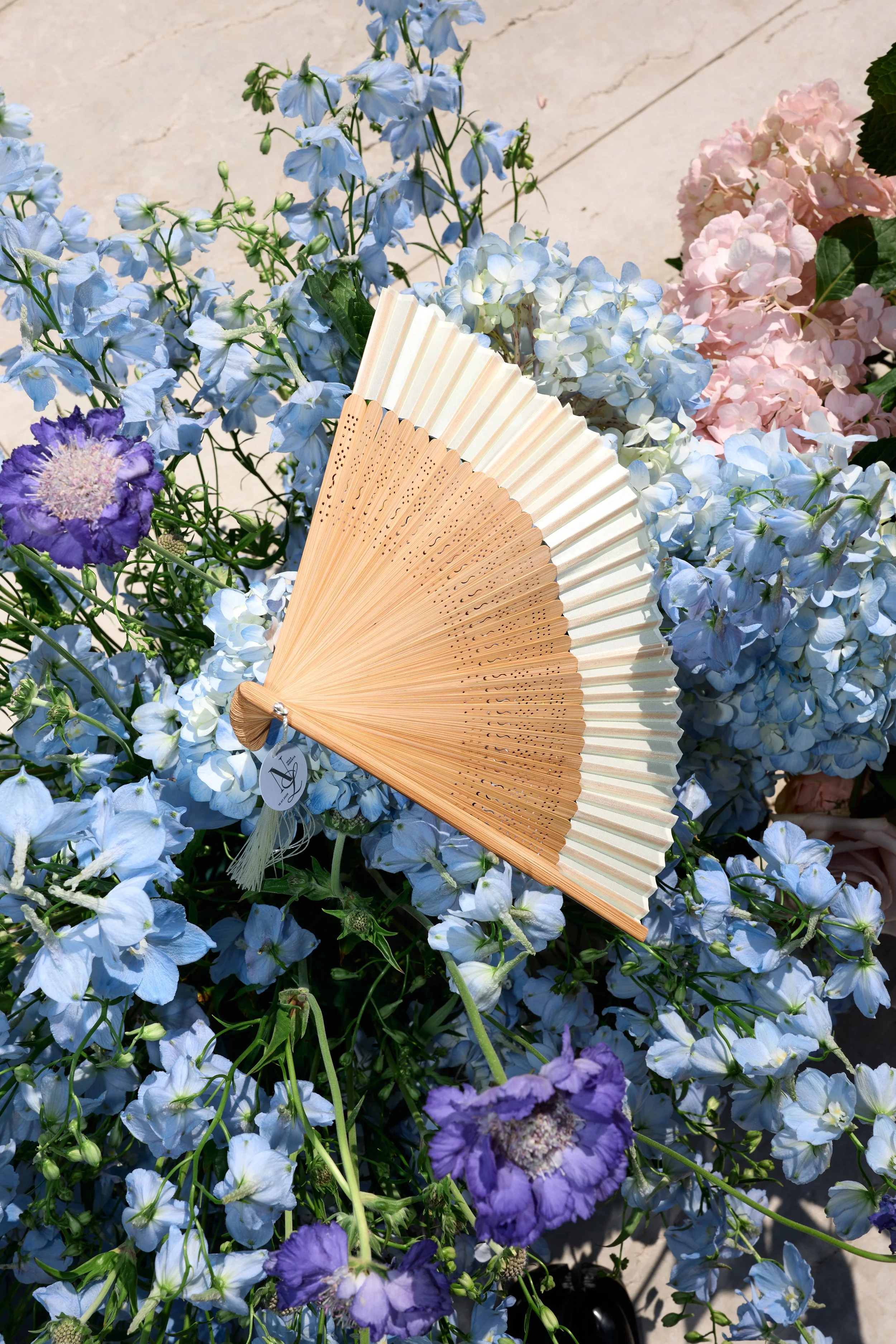 TL0_8301.jpg