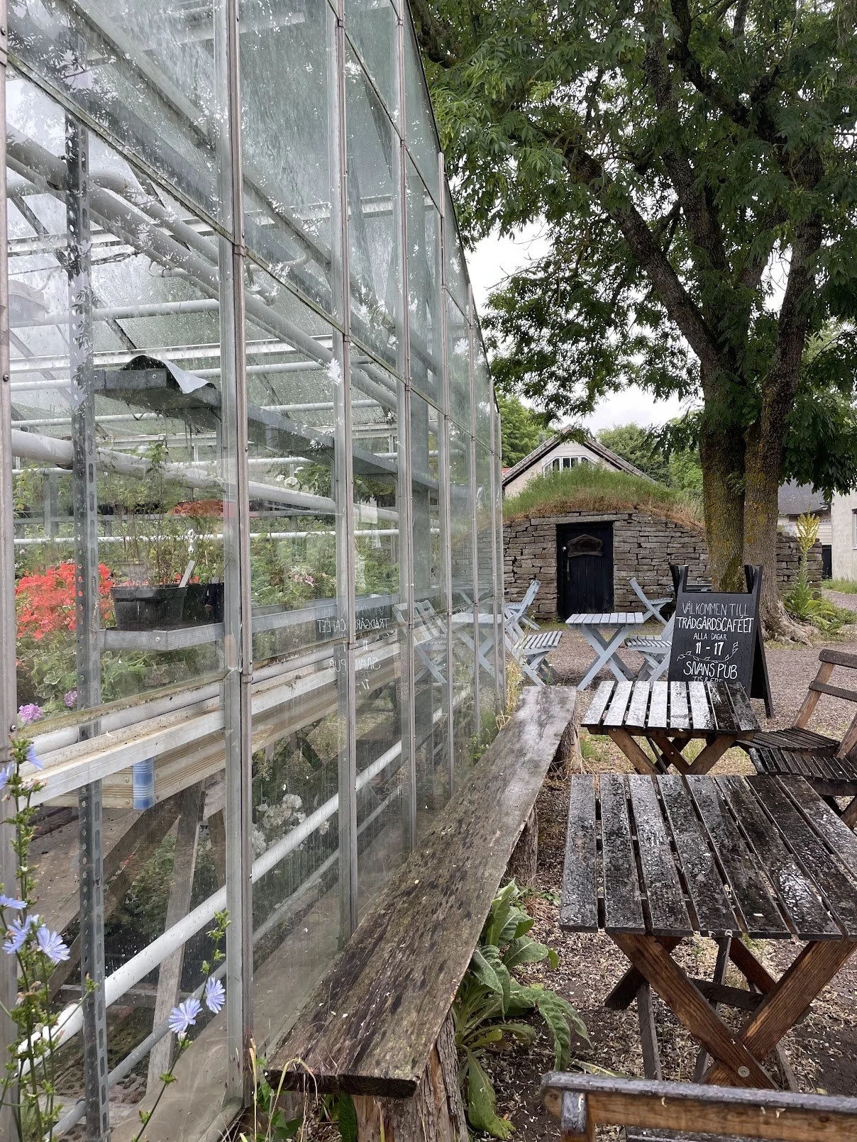 capellagarden vaxthus.jpg