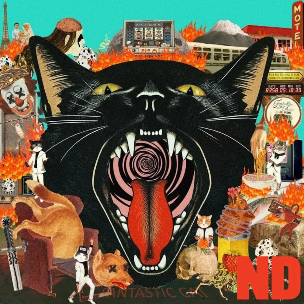 💿Retro Folk Rock Purrs from @fantasticcatband 

Read the full review at the link in our profile.