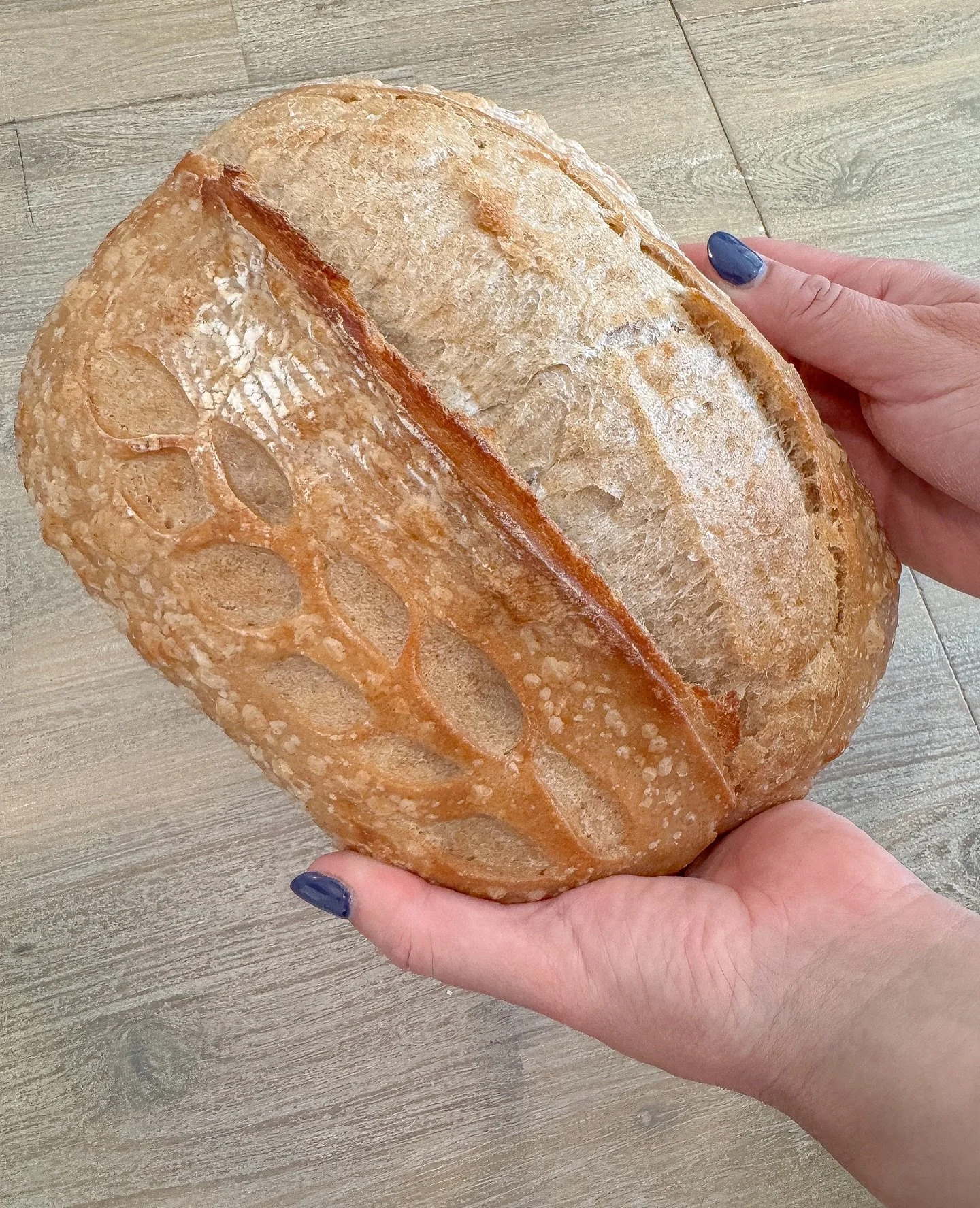 ✨ Headed to Friendsgiving or a holiday party and don&rsquo;t know what to bring?

Bring the crowd-pleaser everyone loves: fresh-baked sourdough. ✨

Warm, cozy, and perfect with literally any dish or beverage 🍷.

🫶 Order yours on the website &mdash;