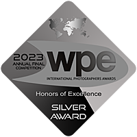 2023 WPE Annual Final Competition Silver Award badge with a world map and text