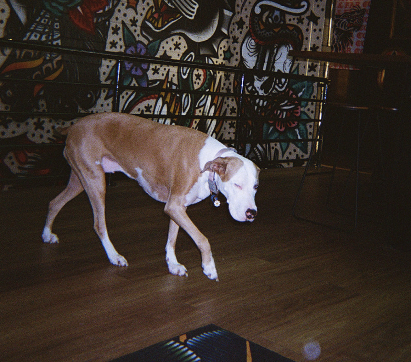 Screenshot 2025-06-26 at 12.14.39 pm.png