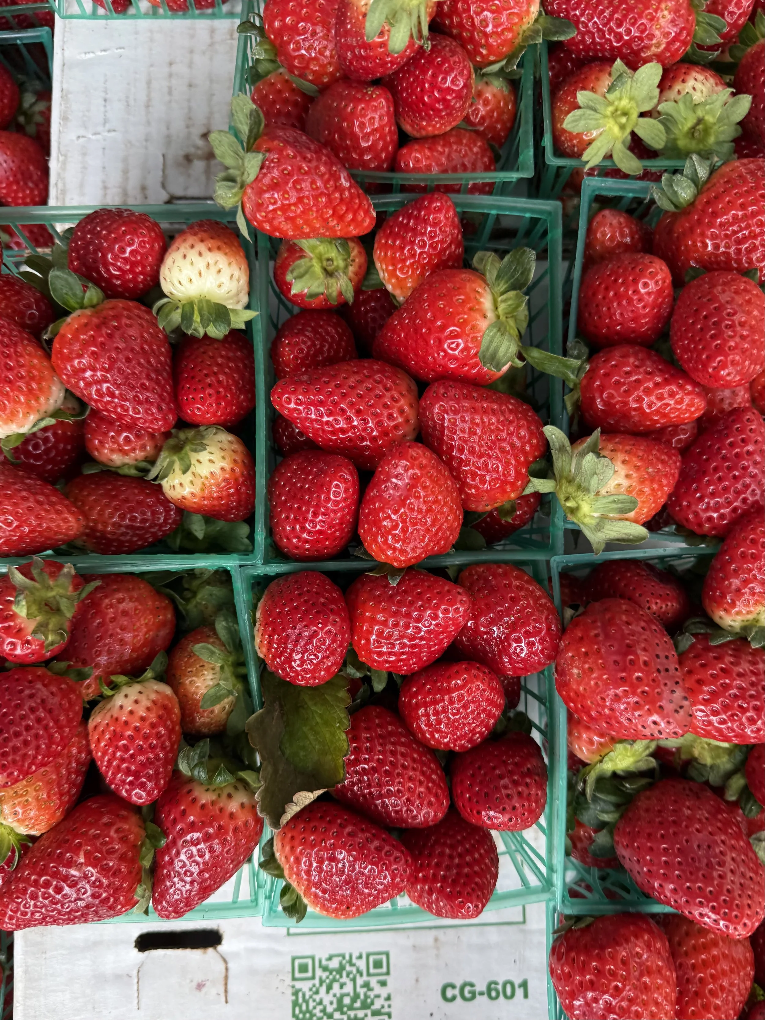 FullSizeRender (3).jpeg