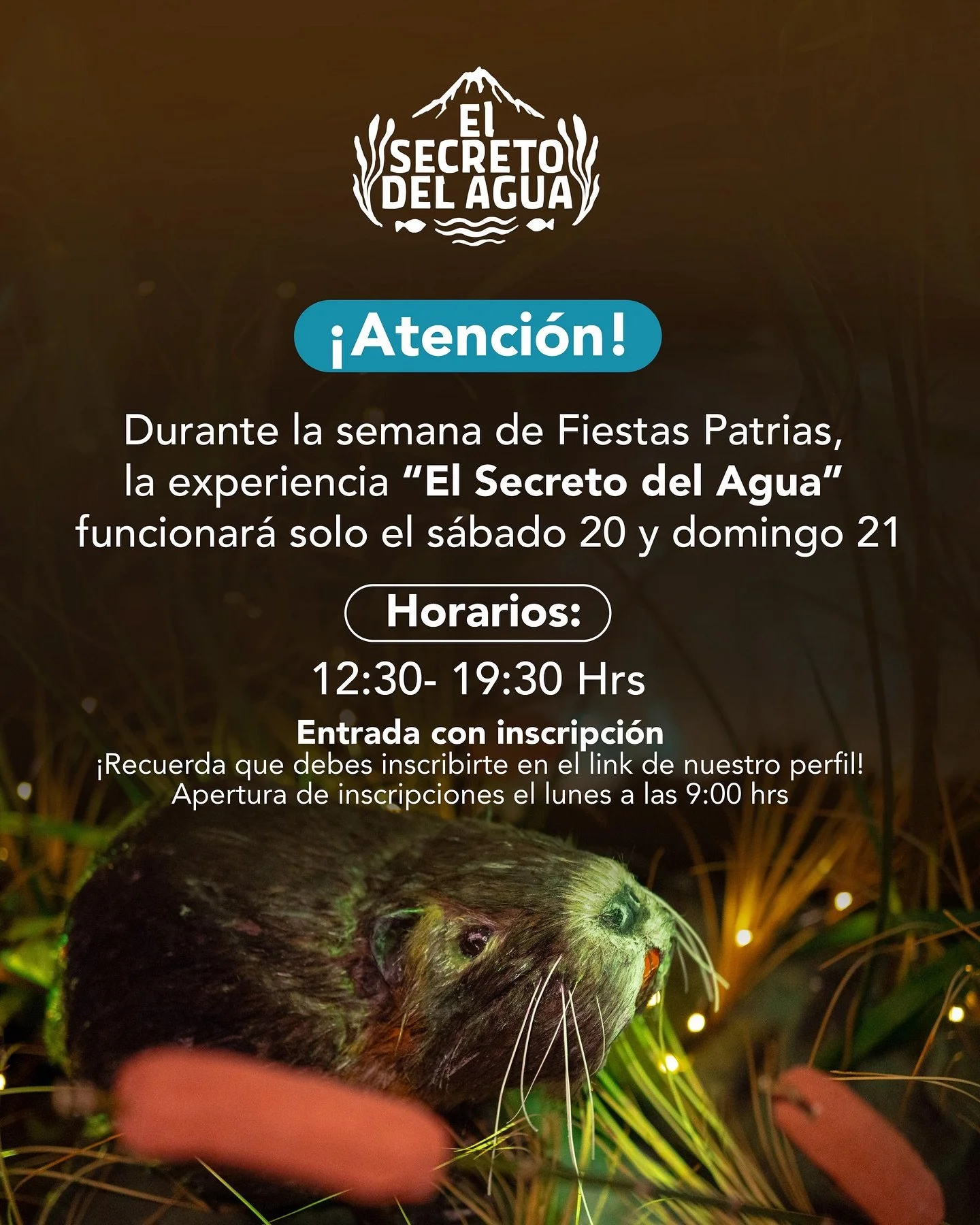 ❤️Disfruta las Fiestas Patrias y acomp&aacute;&ntilde;anos este fin de semana en El Secreto del Agua.💙
&bull;
📅 Estaremos solo el s&aacute;bado 20 y domingo 21 de septiembre
🕐 Horario: 12:30 a 19:30 hrs
📍 Juan Martinez de Rozas #520
&bull;
✨ Entr