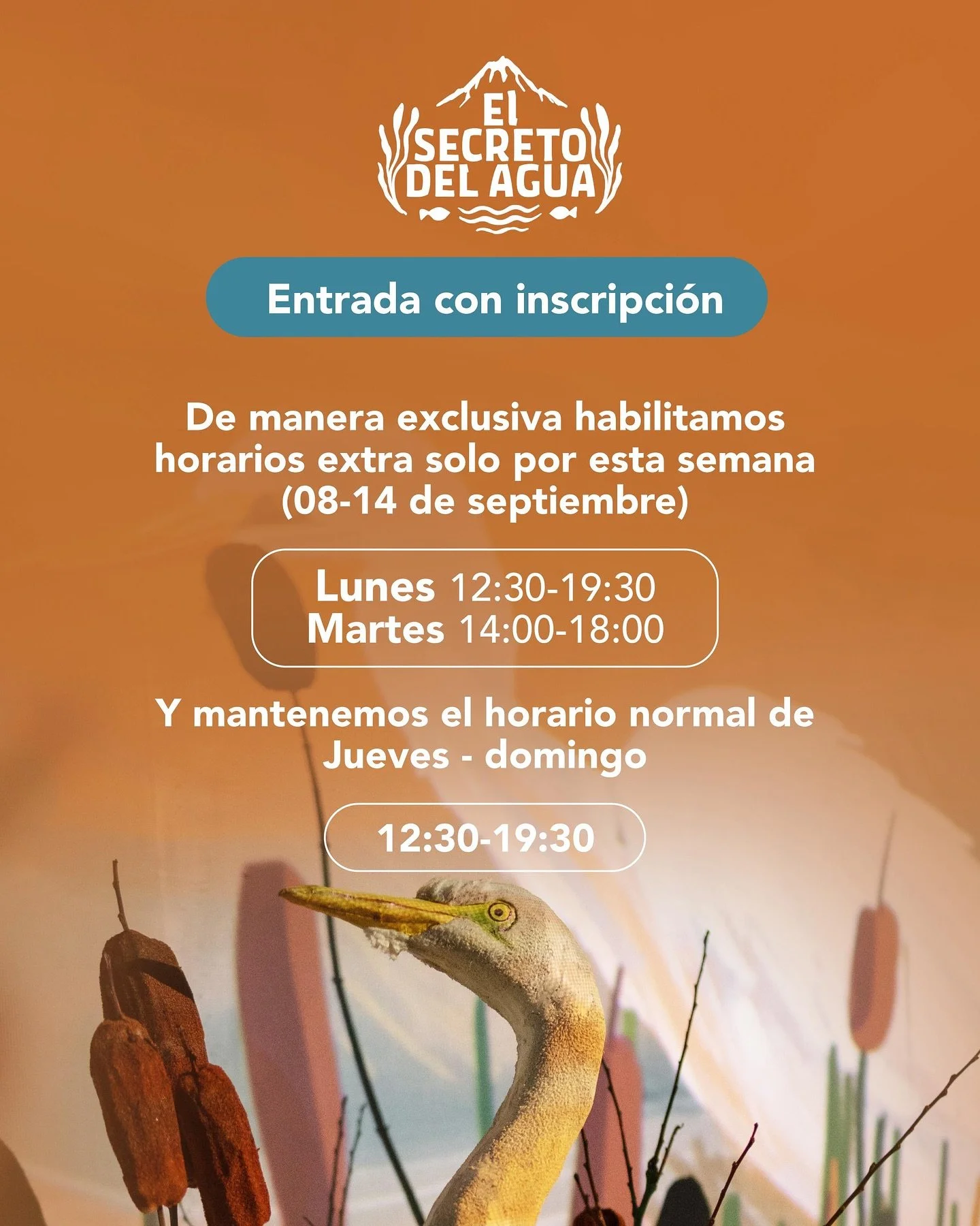 ✨ &iexcl;Atenci&oacute;n! ✨ CUPOS ESPECIALES
&bull;
Las inscripciones abren ma&ntilde;ana lunes 08 a las 9:00 am ⏰
&bull;
Inscripci&oacute;n link en biograf&iacute;a 👆🏼👆🏼👆🏼
&bull;
👉 Recuerda que la entrada es solo con inscripci&oacute;n.
&bull