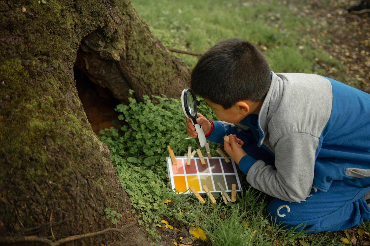 Captura de pantalla 2025-12-08 221843.png