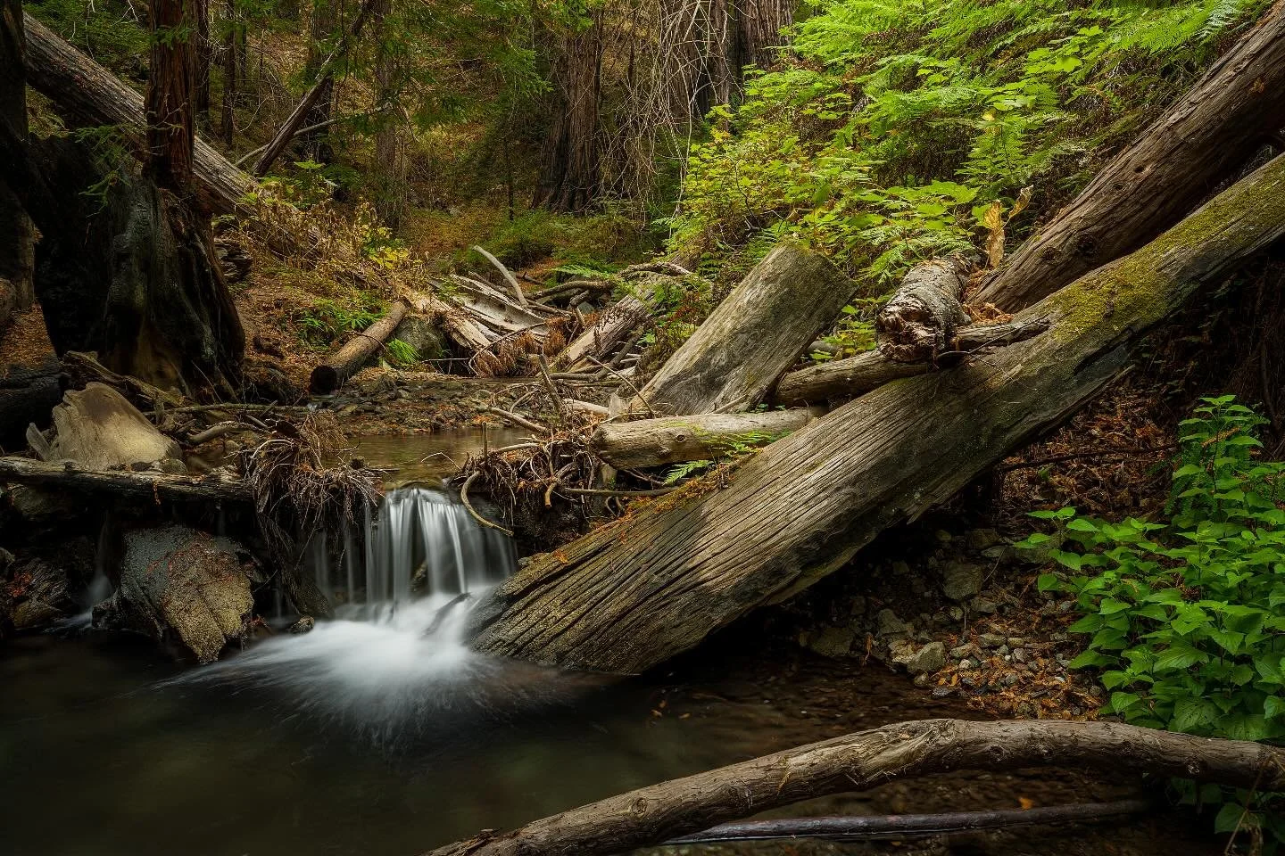 A serene moment in the forest with a tiny waterfall.
Big Sur, CA
#photography #landscape #landscapephotography #nature #longexposure #waterfall #naturephoto #forest #bigsur #california