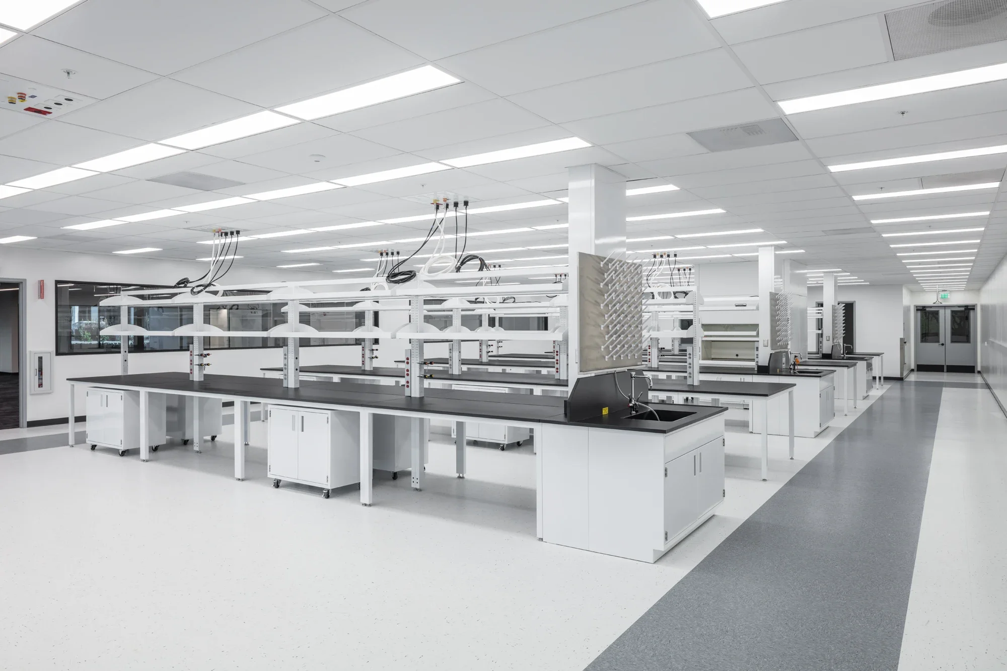 life-science-lab-interior-bench-table-10398-pacific-center-sorrento-1-©robert-greaux-photography.webp