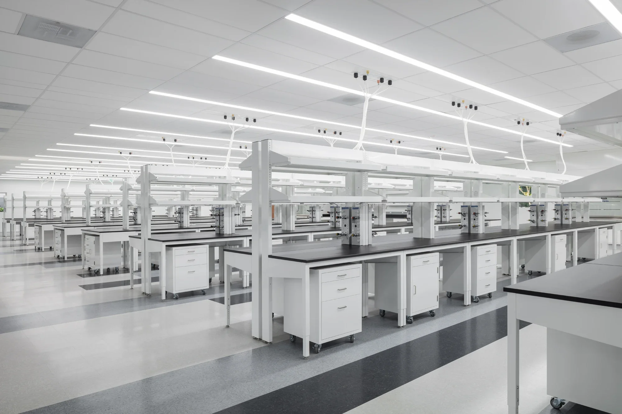 life-science-lab-interior-bench-table-6134-nancy-ridge-sorrento-1-©robert-greaux-photography.webp