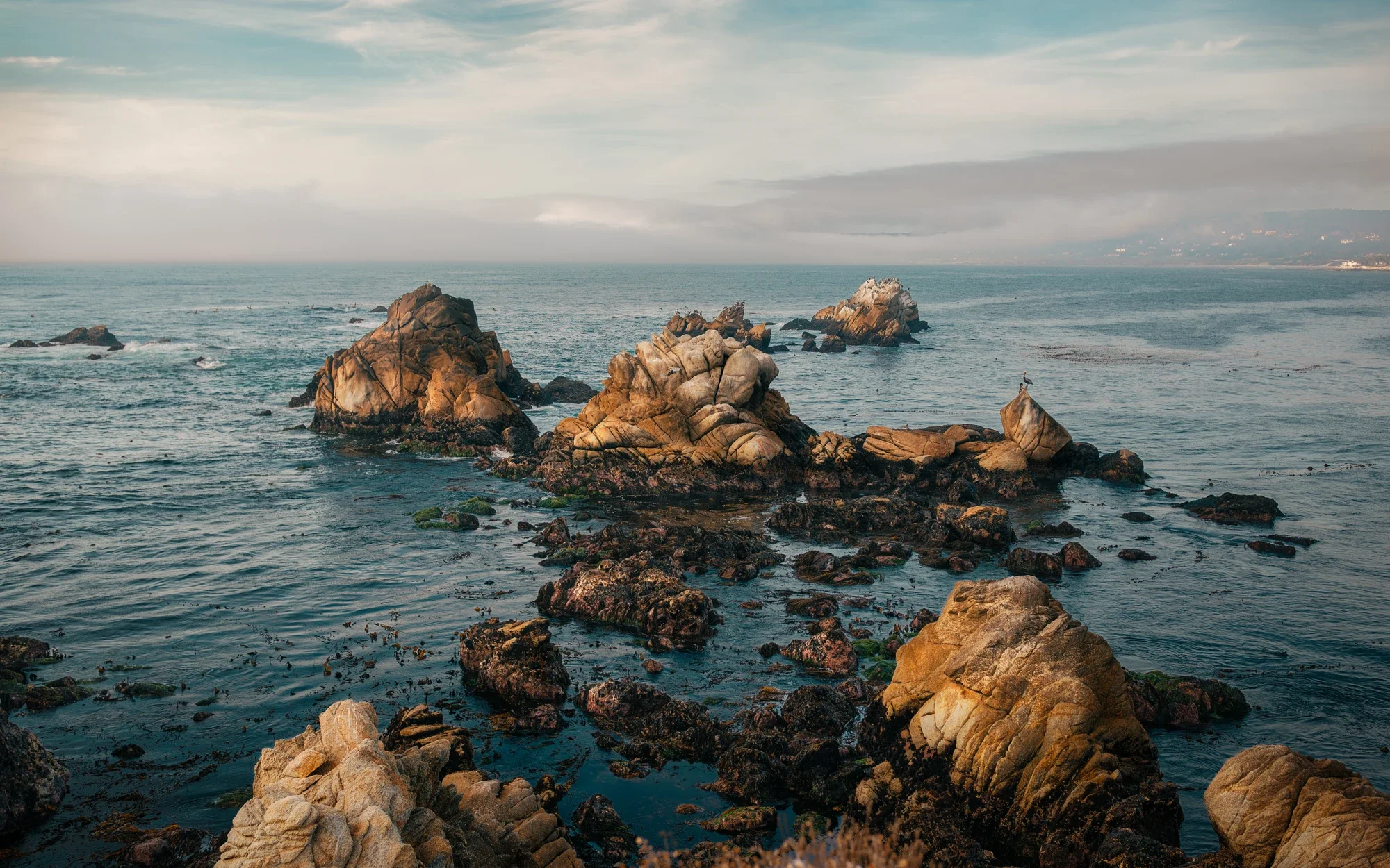 fine-art-point-lobos-rocks-1-©robert-greaux-photography.webp