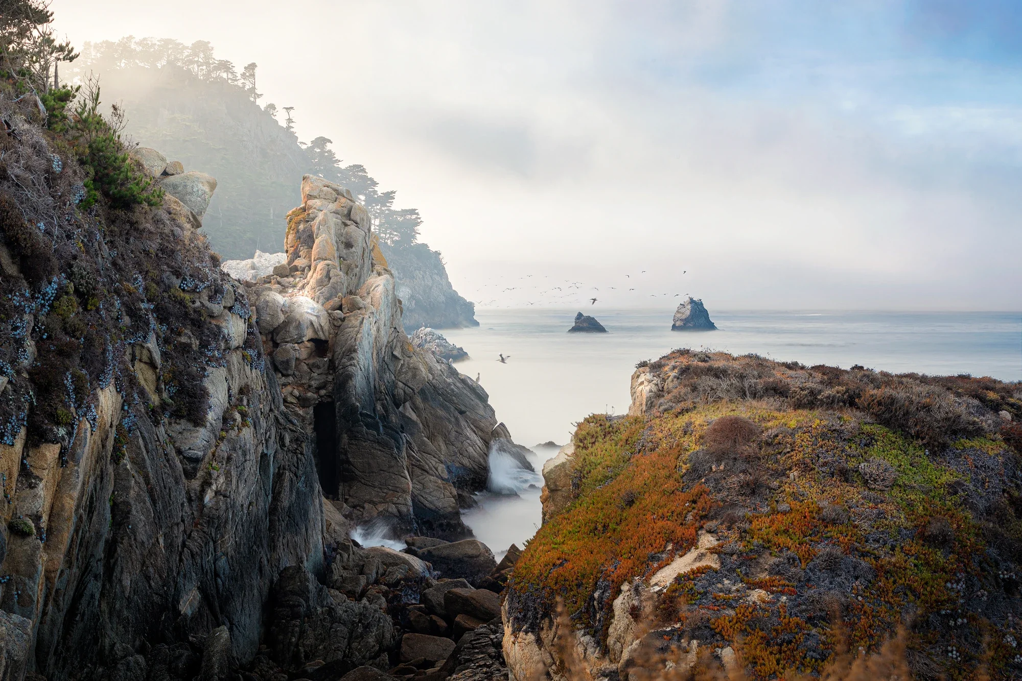 fine-art-point-lobos-cliffs-2-©robert-greaux-photography.webp