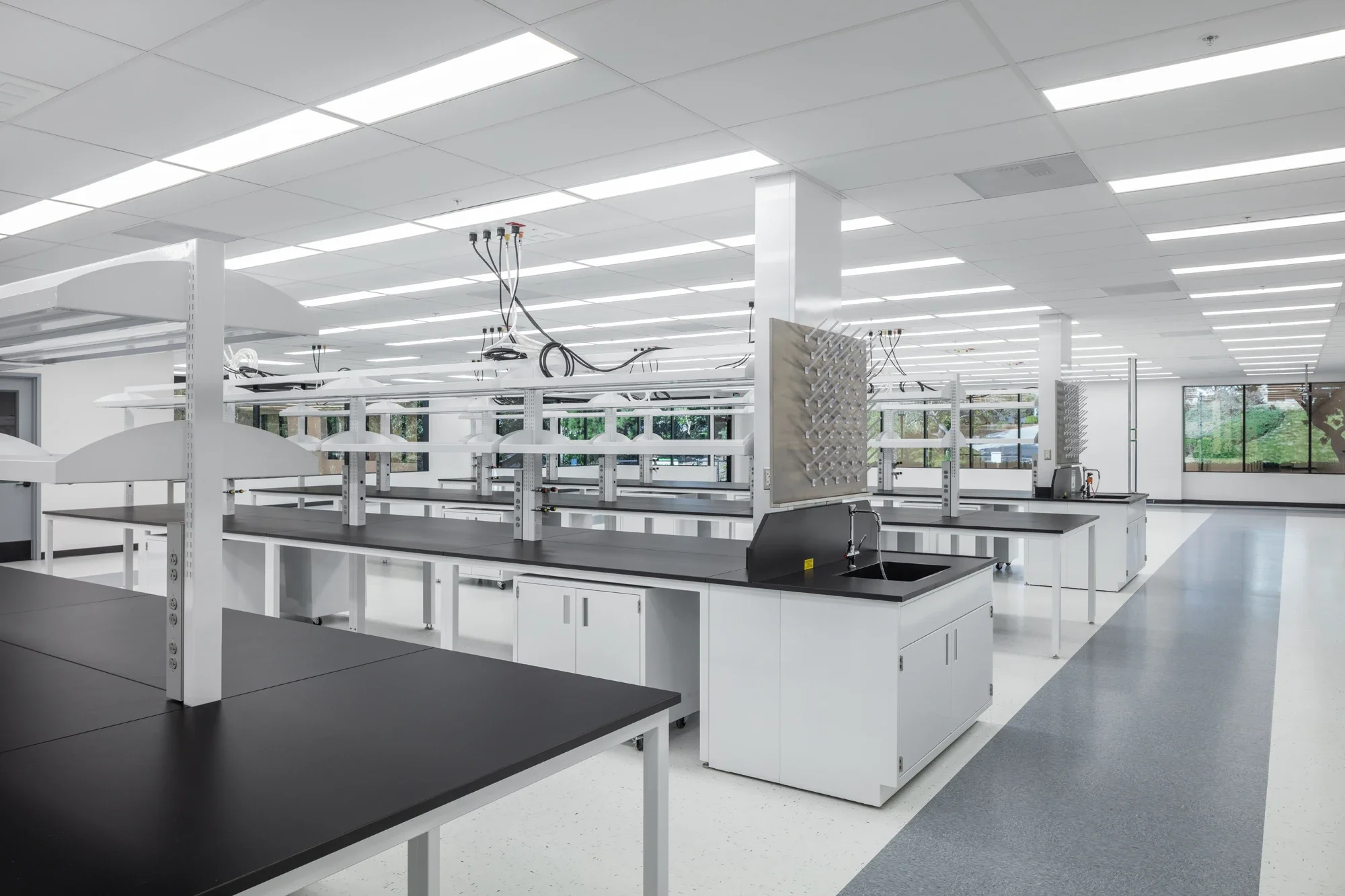life-science-lab-interior-bench-table-pacific-center-court-sorrento-2-©robert-greaux-photography.webp