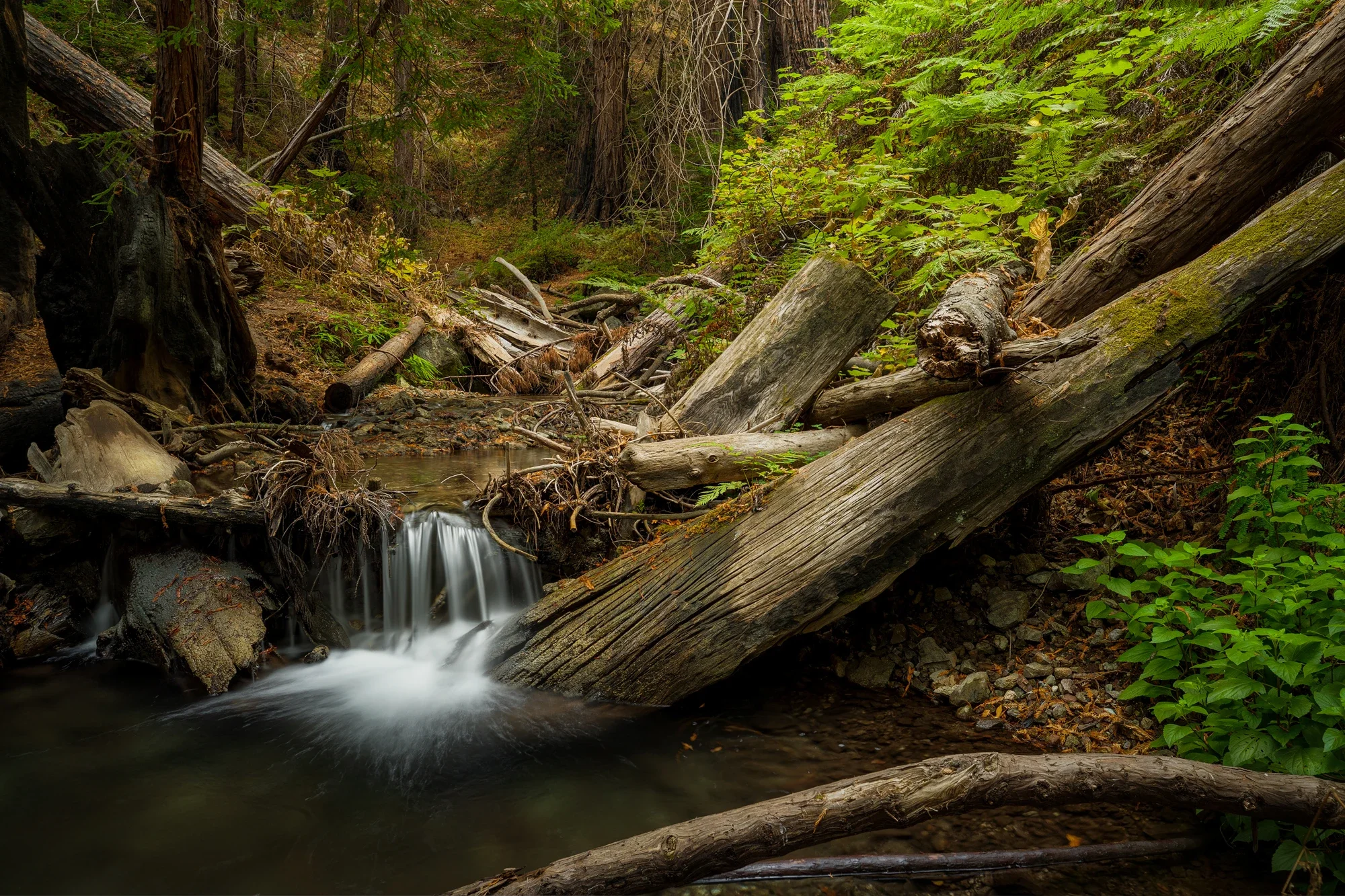fine-art-forest-waterfall-big-sur-california-2-©robert-greaux-photography.webp