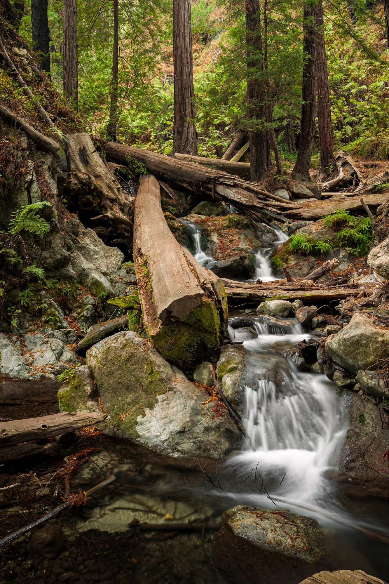 fine-art-forest-waterfall-big-sur-california-1-©robert-greaux-photography.webp
