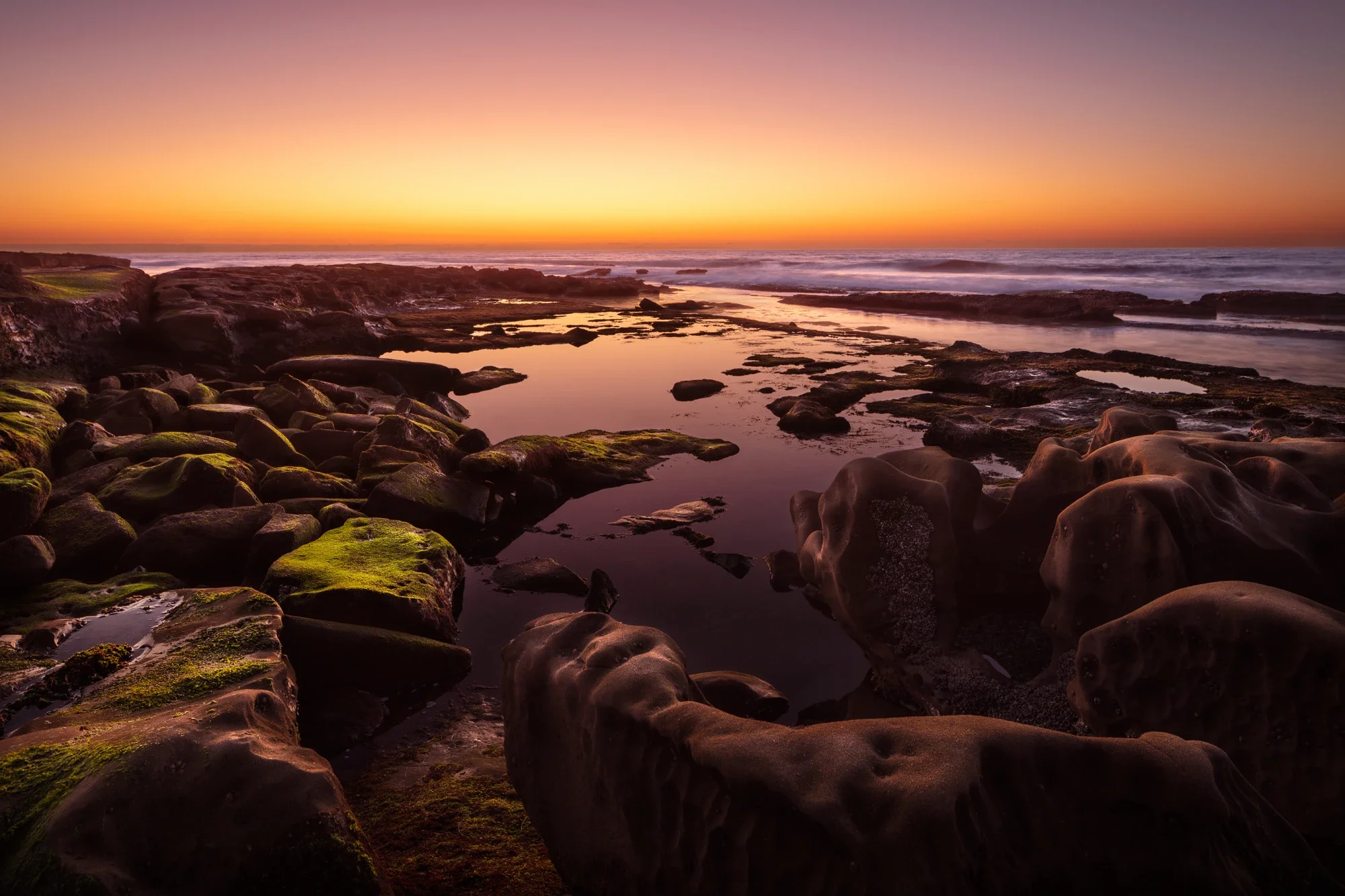 fine-art-tidepool-la-jolla-2-©robert-greaux-photography.webp