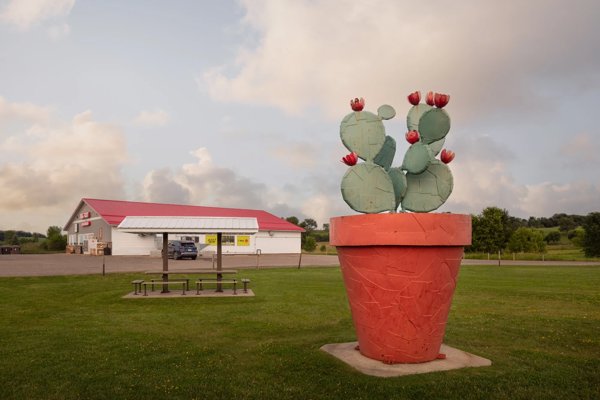 fine-art-ken-nyberg-sculpture-cactus-vining-minnesota-1-©robert-greaux-photography.webp