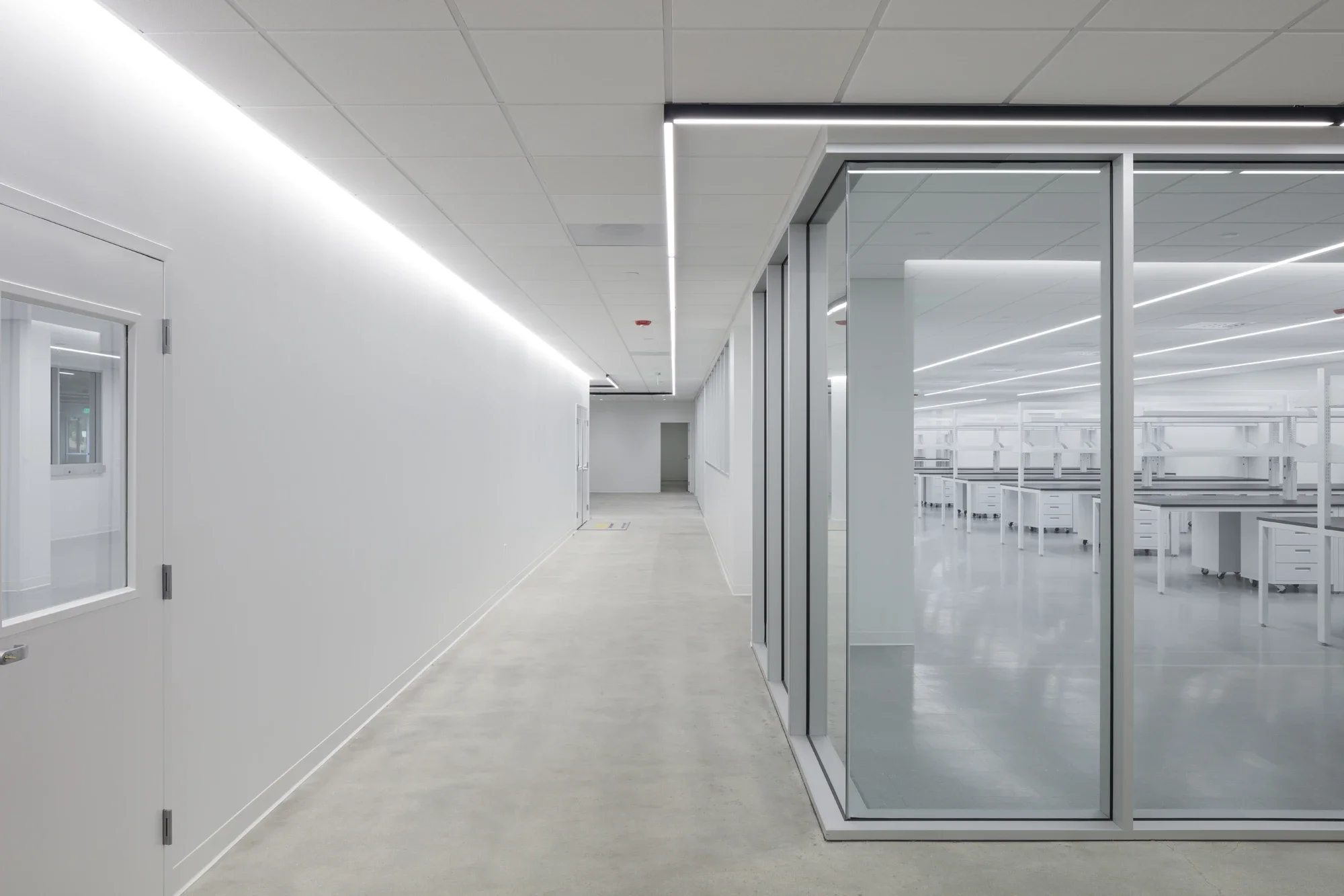 life-science-lab-hallway-carlsbad-1-©robert-greaux-photography.webp