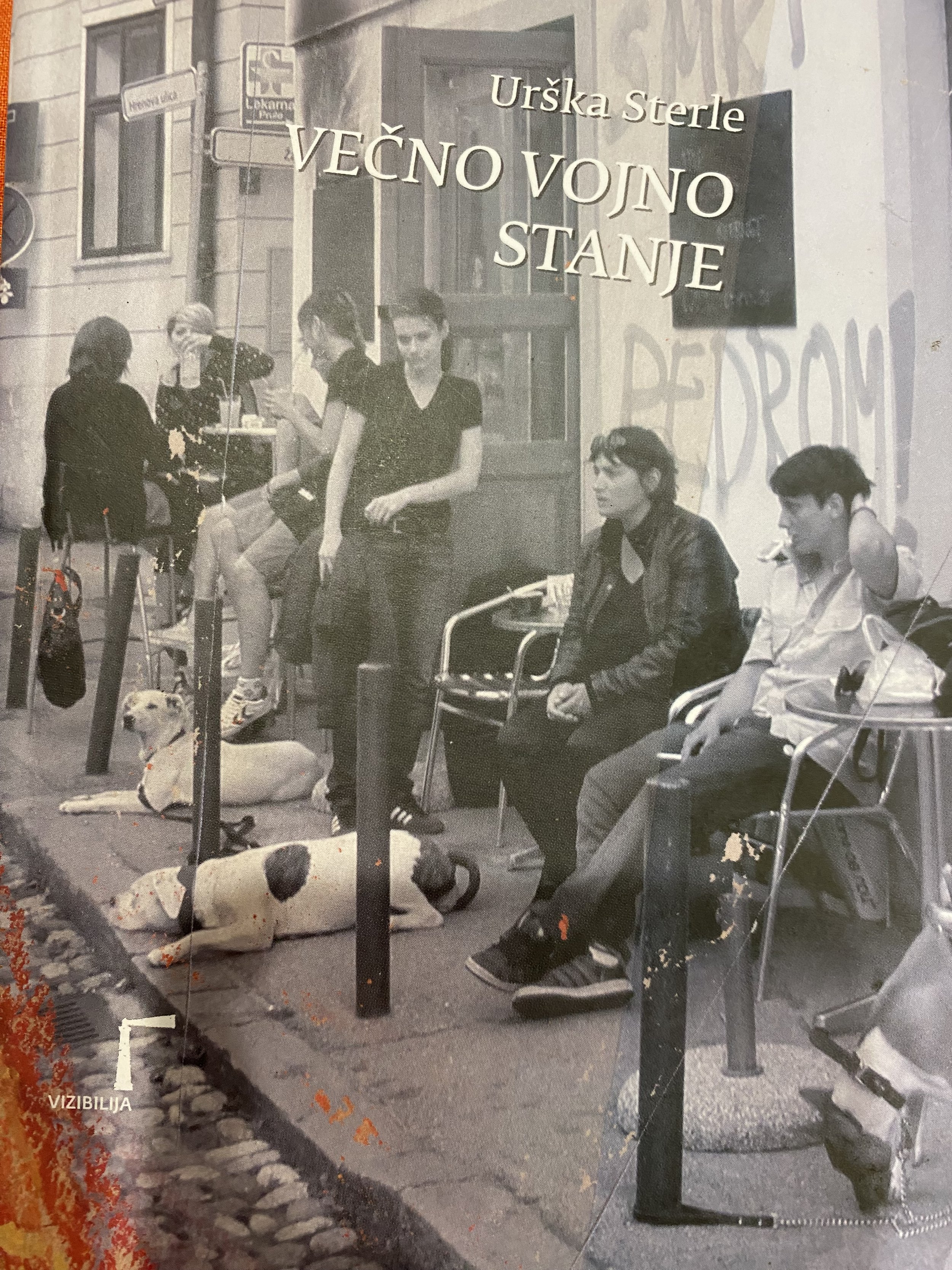 Joan Nestle IMG_6262.jpeg