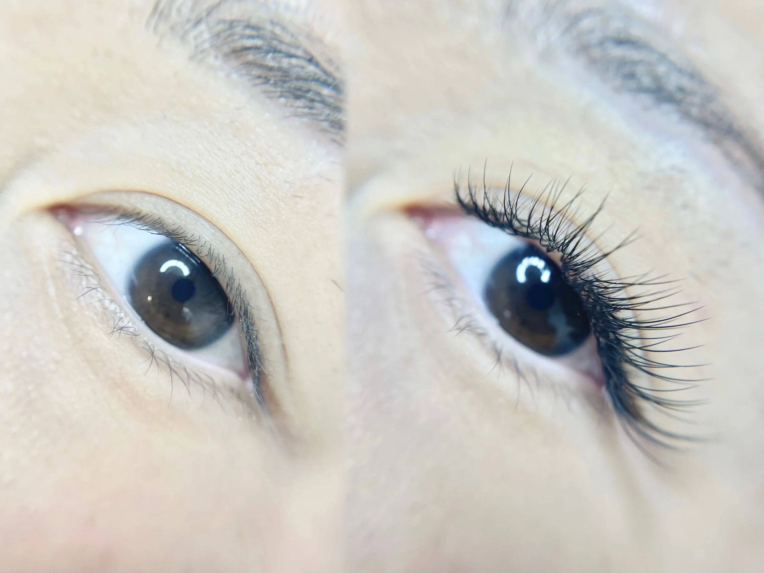 Los Angeles lash extensions