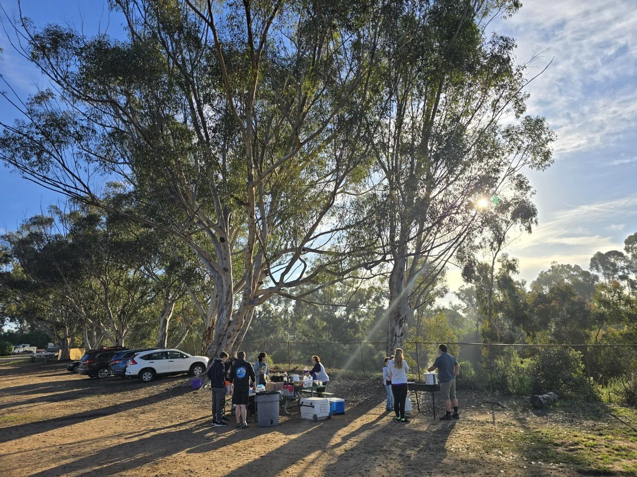 Pack 650-All photos-76397401633.jpg