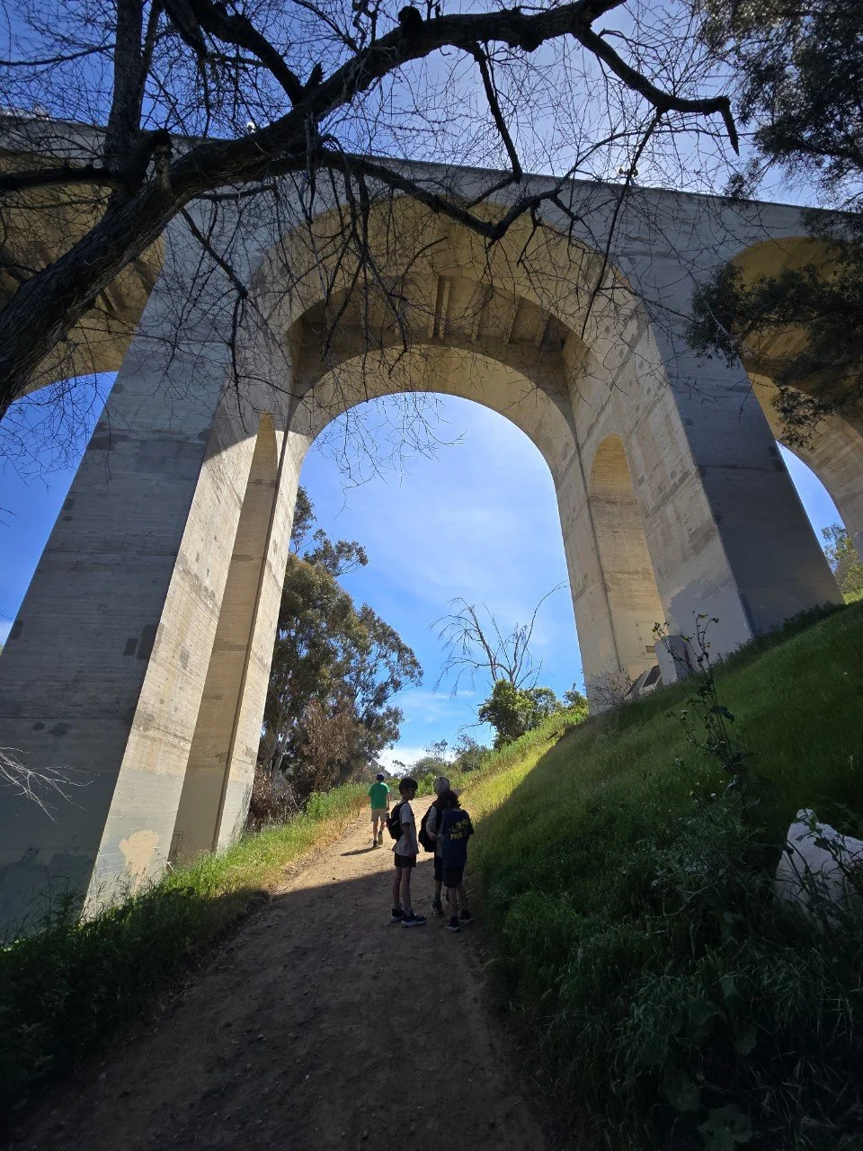 Pack 650-All photos-76397401639.jpg