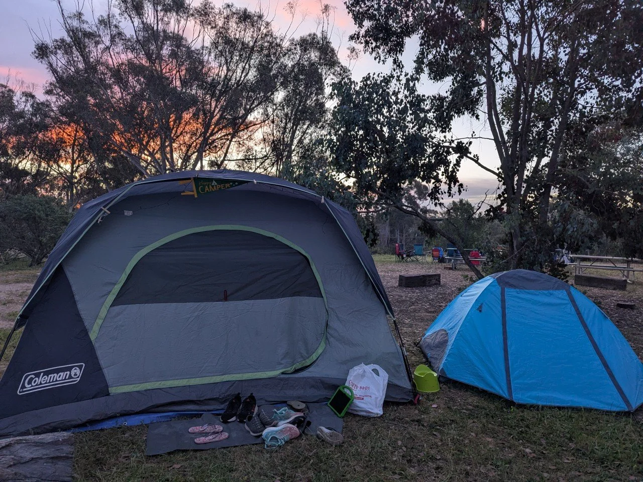 Pack 650-All photos-76377150384.jpg