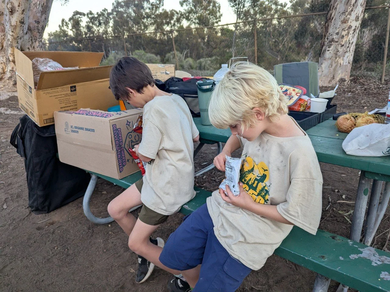 Pack 650-All photos-76377150443.jpg