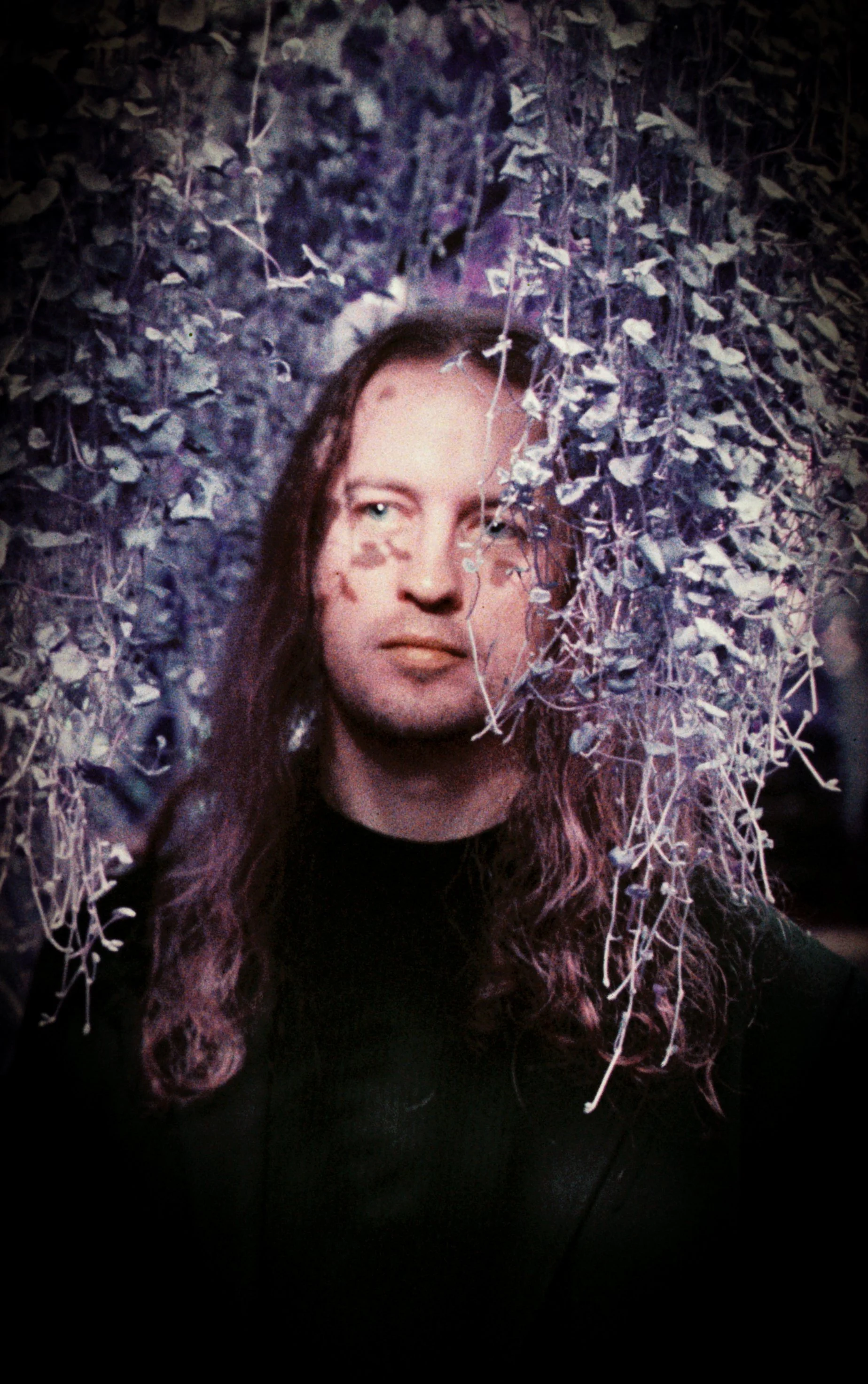 Portrait of a woman with long wavy hair, standing amid hanging purple and gray leaves.