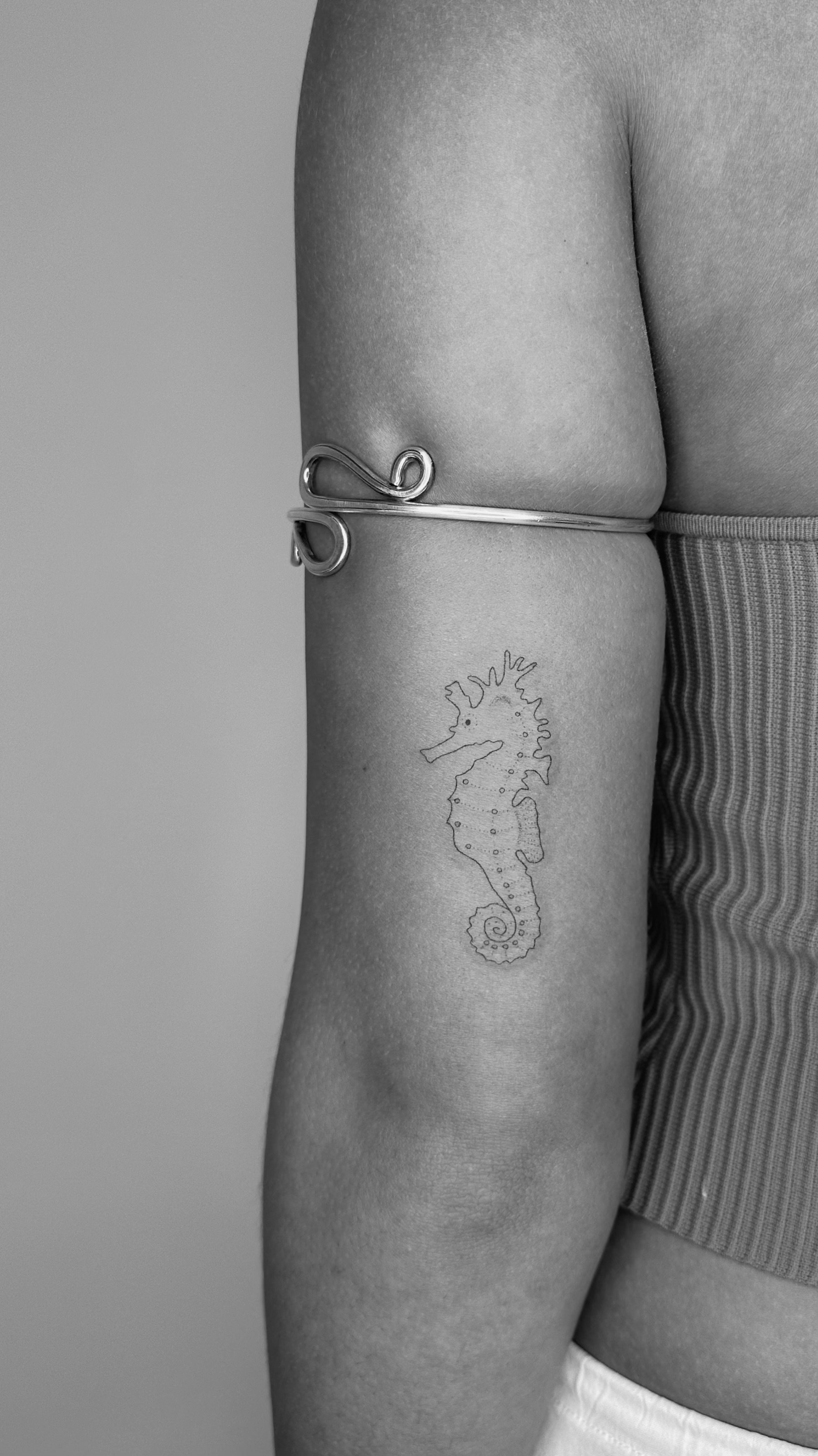 *seahorses