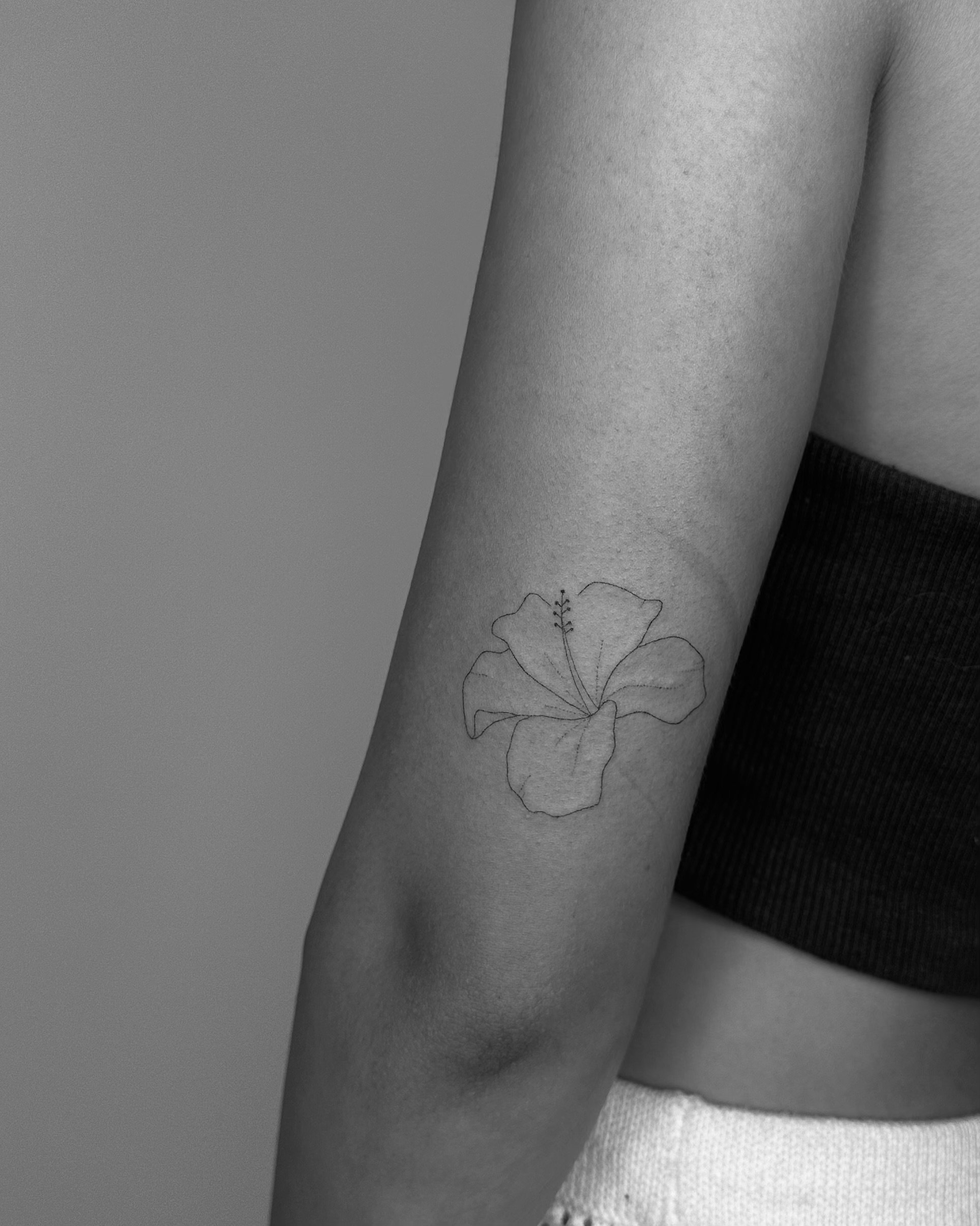 *hibiscus
