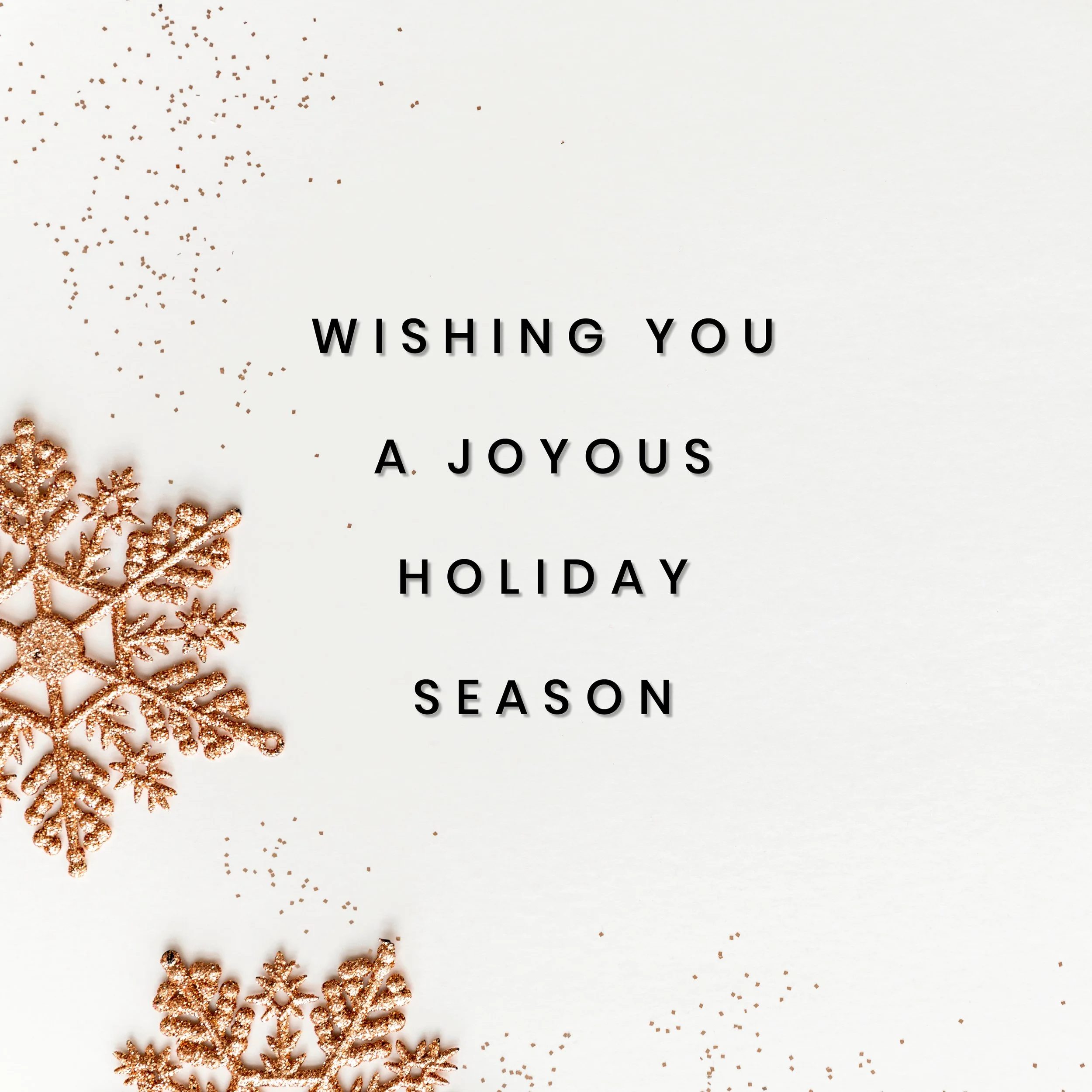 Happy Holidays and Welcome 2026!