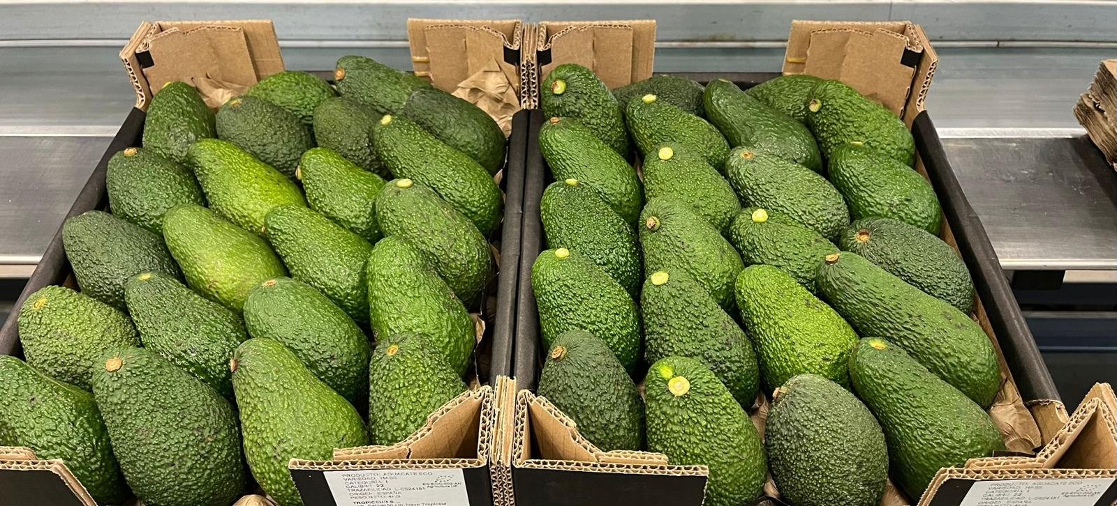 Avocados.jpeg