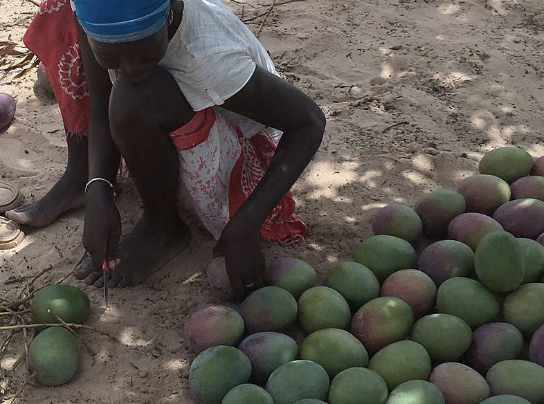 Mango_BioTropic_3.png