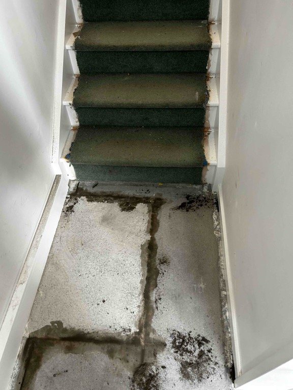 We are certified and experienced floor layers. Before installing vinyl flooring, sub floor was prepped according to standard