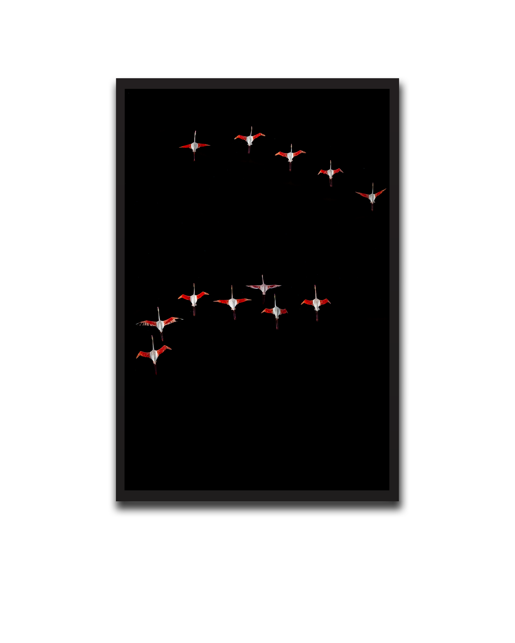 03°50'S / 35°53'E