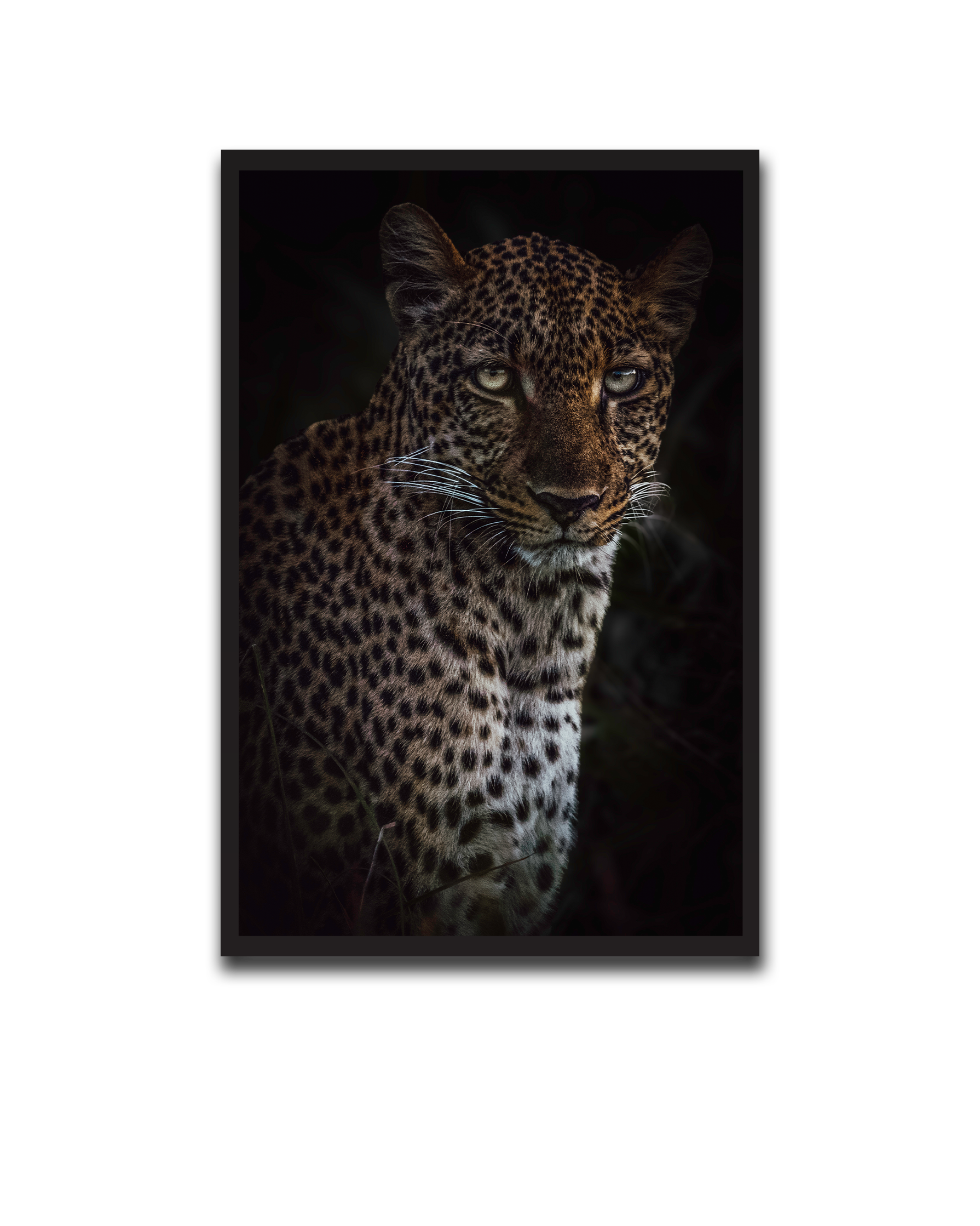Alvin_Bagnesa_01a01878-87b5-75c0-8b8c-bab2d3ecb829_upscaled copy 8.png