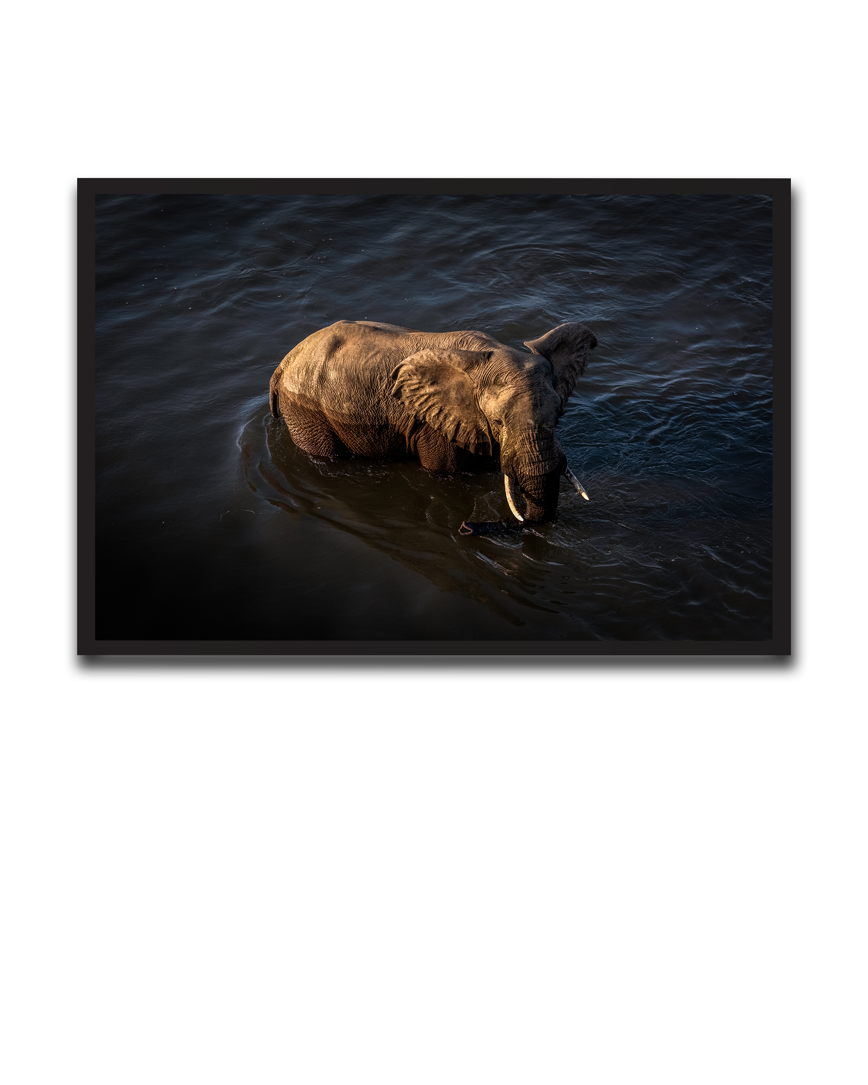 Alvin_Bagnesa_01a01878-87b5-75c0-8b8c-bab2d3ecb829_upscaled copy 29.png