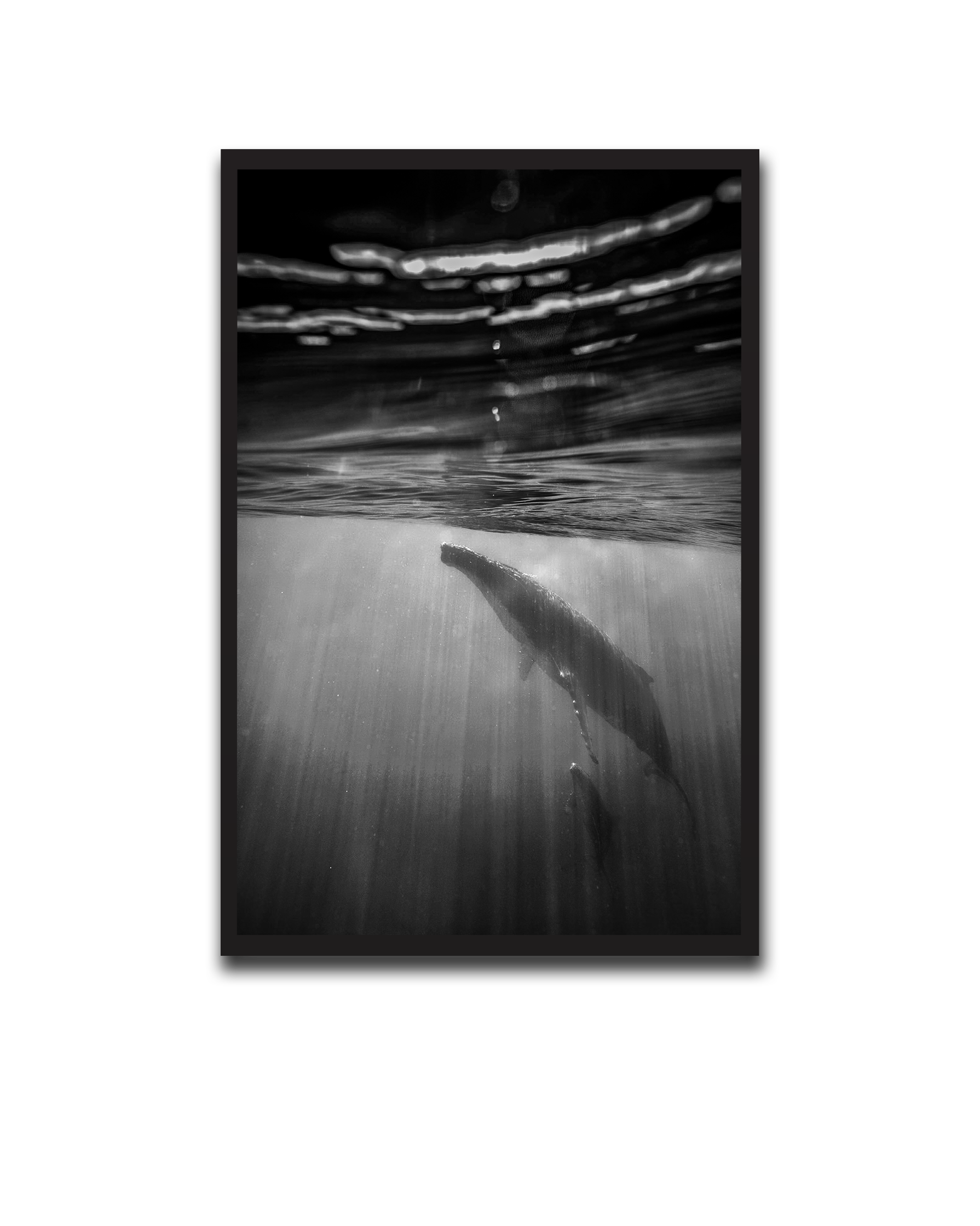 Alvin_Bagnesa_01a01878-87b5-75c0-8b8c-bab2d3ecb829_upscaled copy 78.png