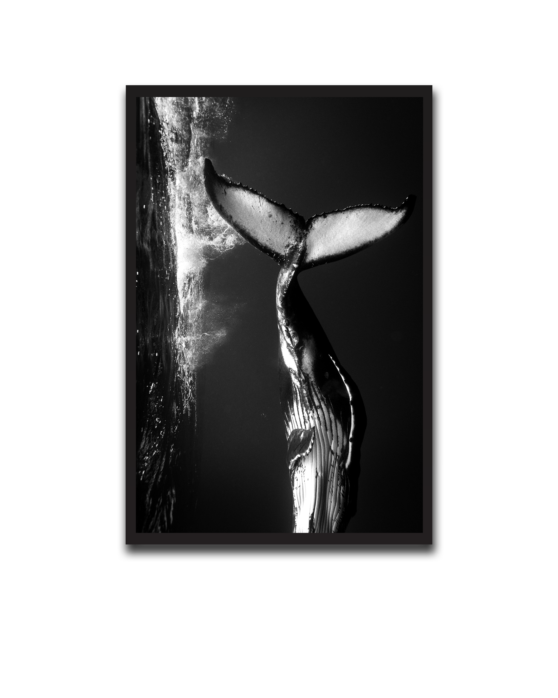 Alvin_Bagnesa_01a01878-87b5-75c0-8b8c-bab2d3ecb829_upscaled copy 34.png
