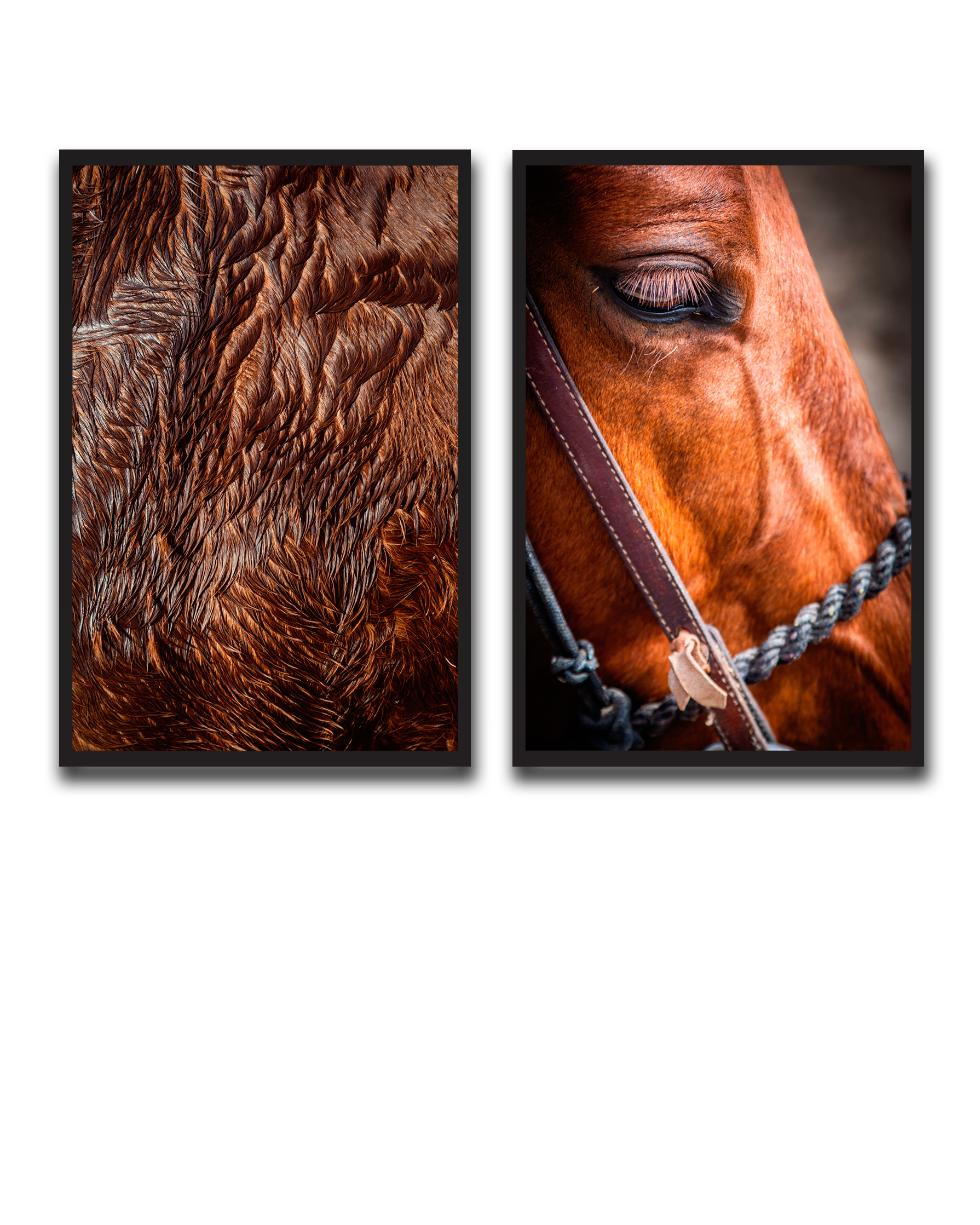 Alvin_Bagnesa_01a01878-87b5-75c0-8b8c-bab2d3ecb829_upscaled copy 129.png