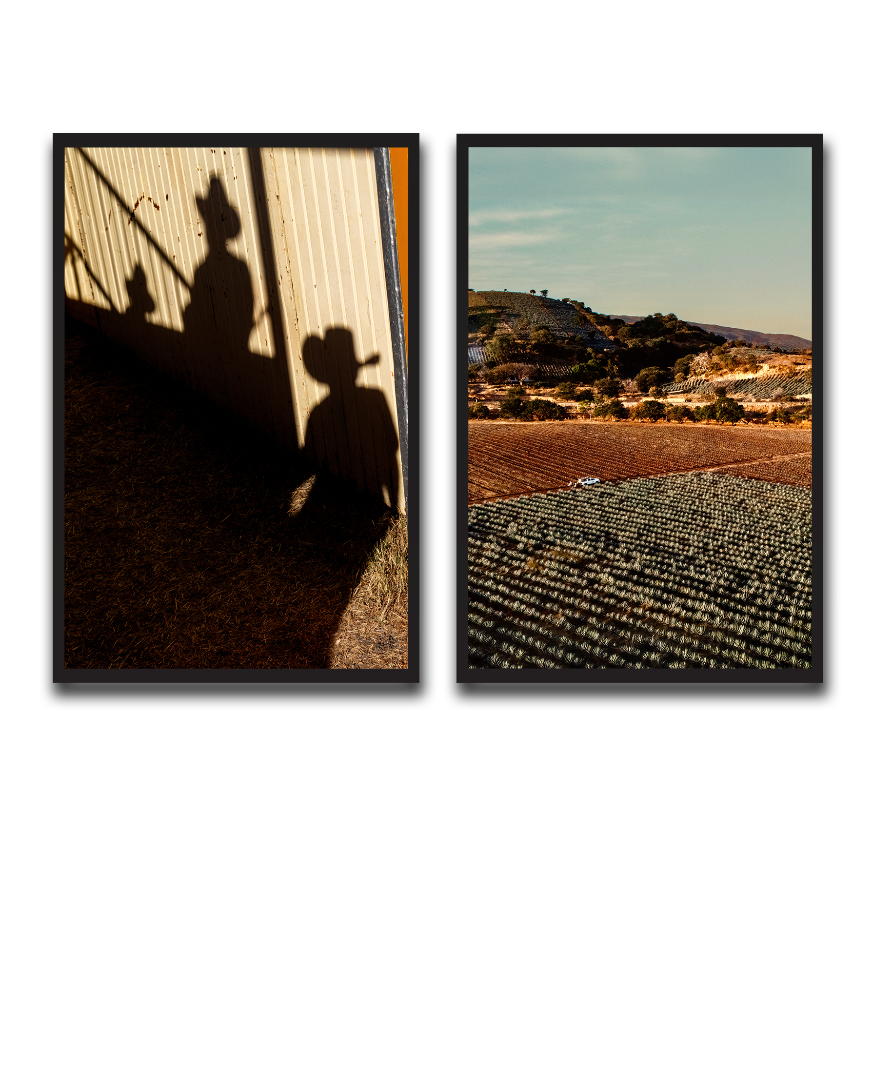 Alvin_Bagnesa_01a01878-87b5-75c0-8b8c-bab2d3ecb829_upscaled copy 127.png