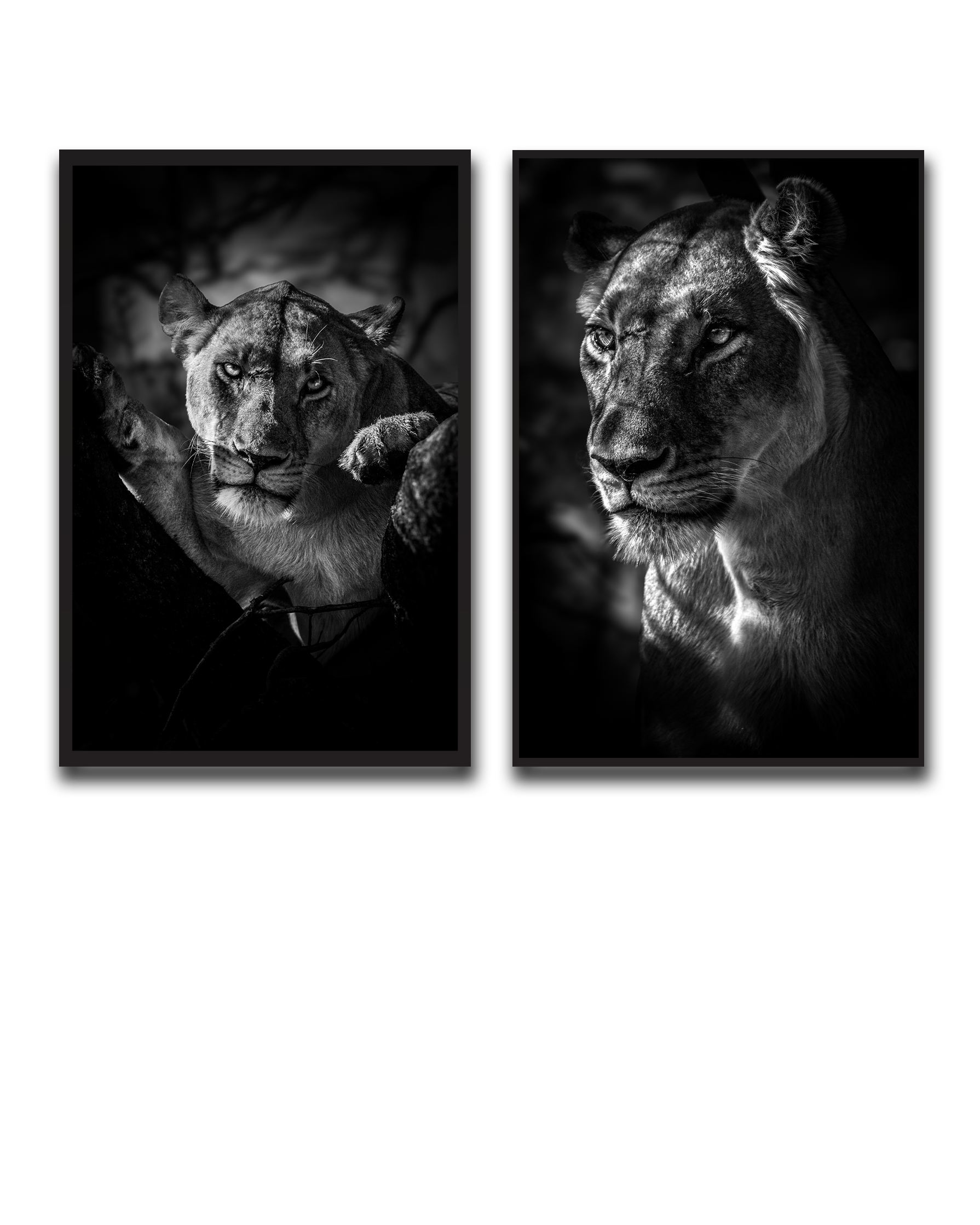 Alvin_Bagnesa_01a01878-87b5-75c0-8b8c-bab2d3ecb829_upscaled copy 12.png