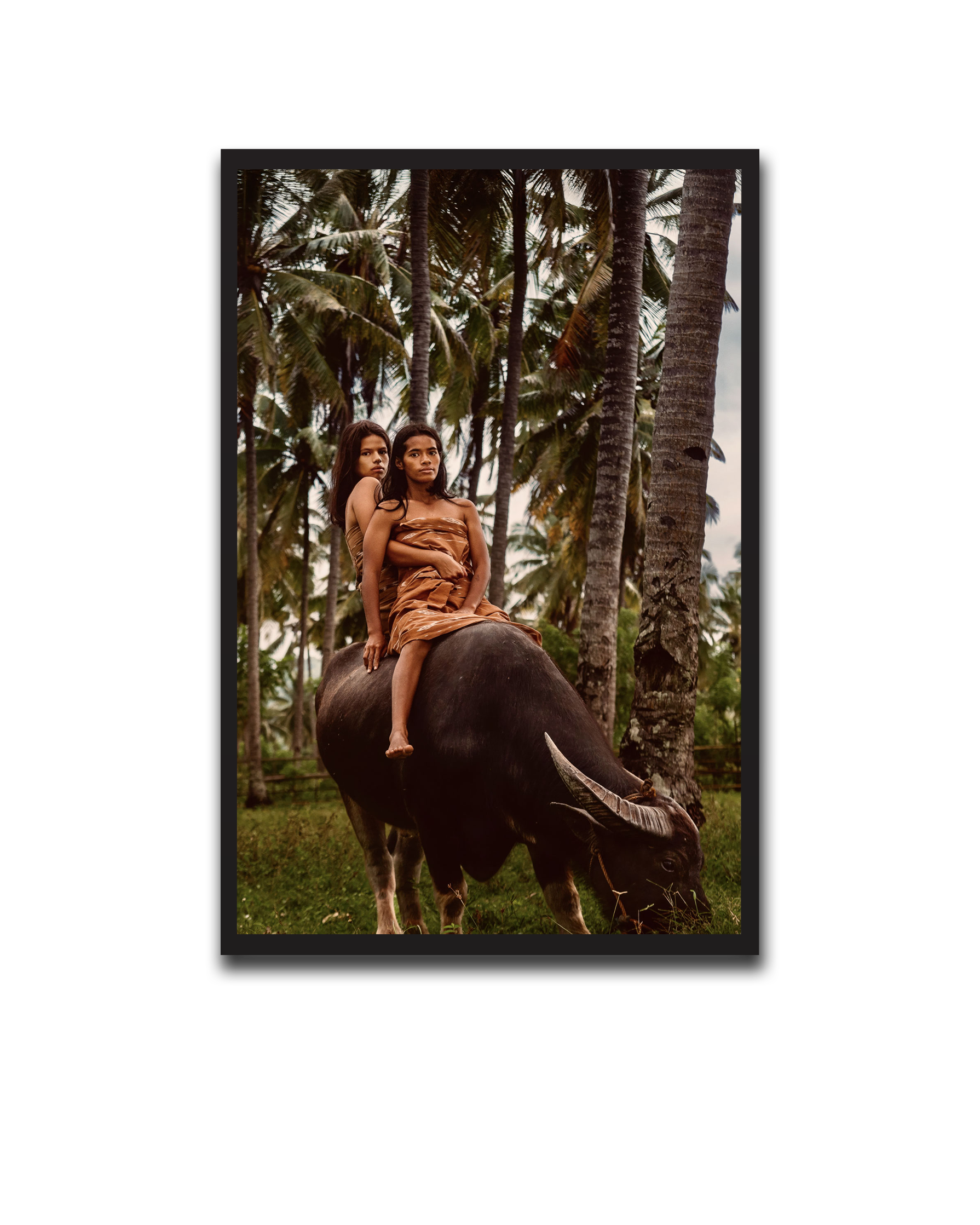 Alvin_Bagnesa_01a01878-87b5-75c0-8b8c-bab2d3ecb829_upscaled copy 119.png