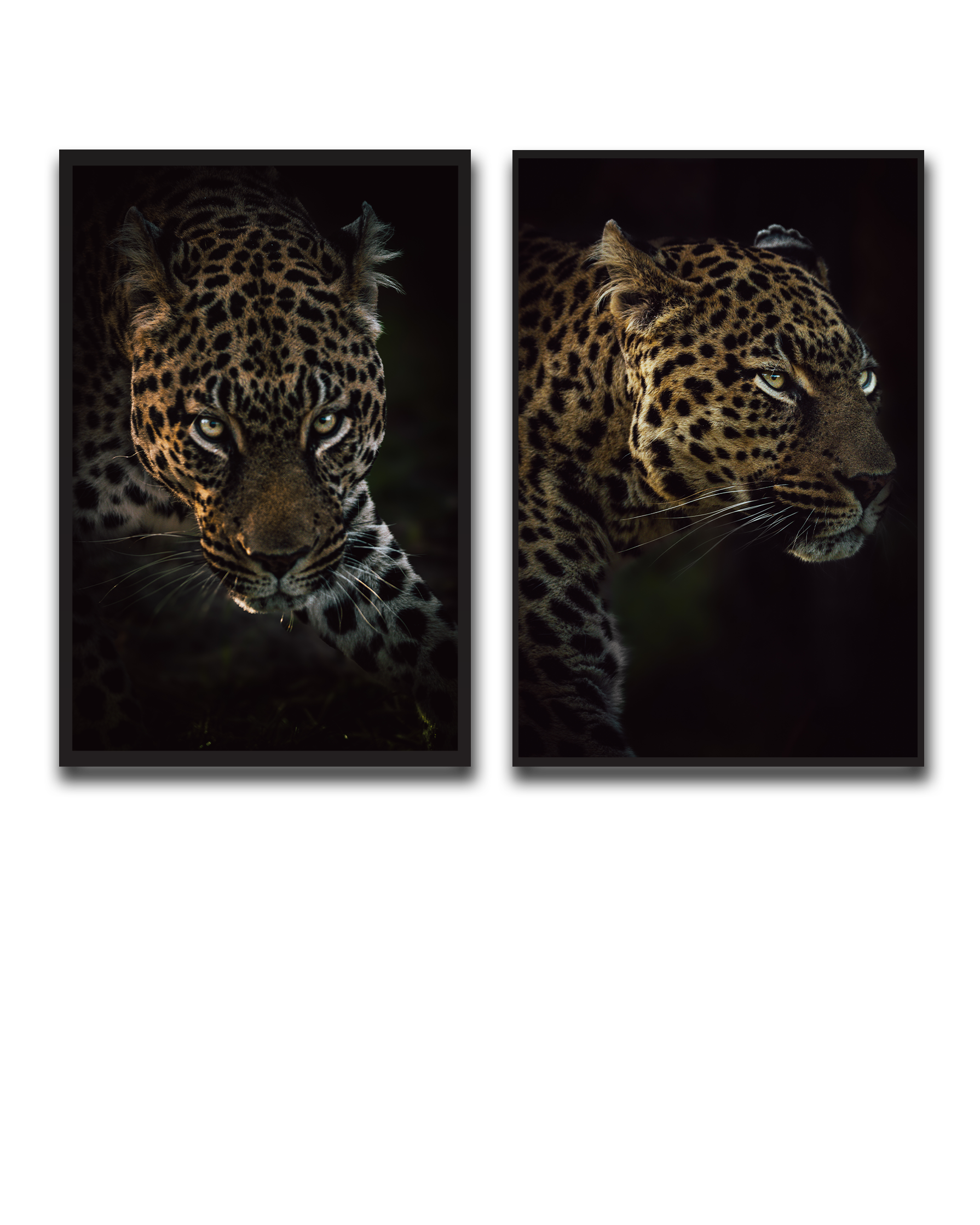Alvin_Bagnesa_01a01878-87b5-75c0-8b8c-bab2d3ecb829_upscaled copy 9.png