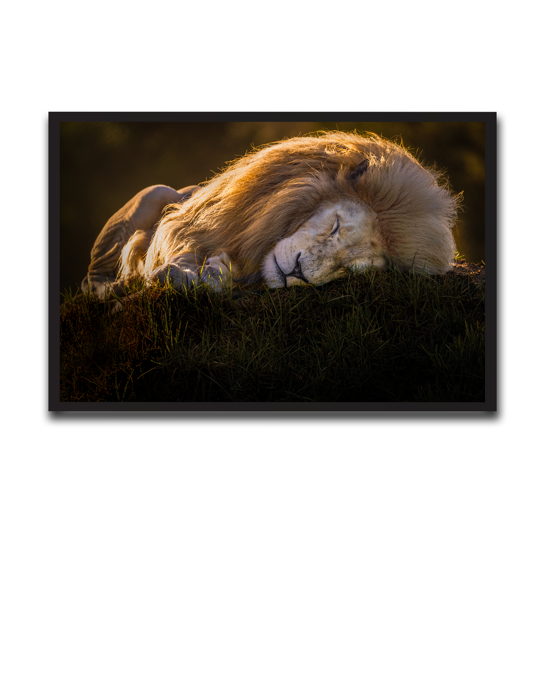 Alvin_Bagnesa_01a01878-87b5-75c0-8b8c-bab2d3ecb829_upscaled copy 2.png