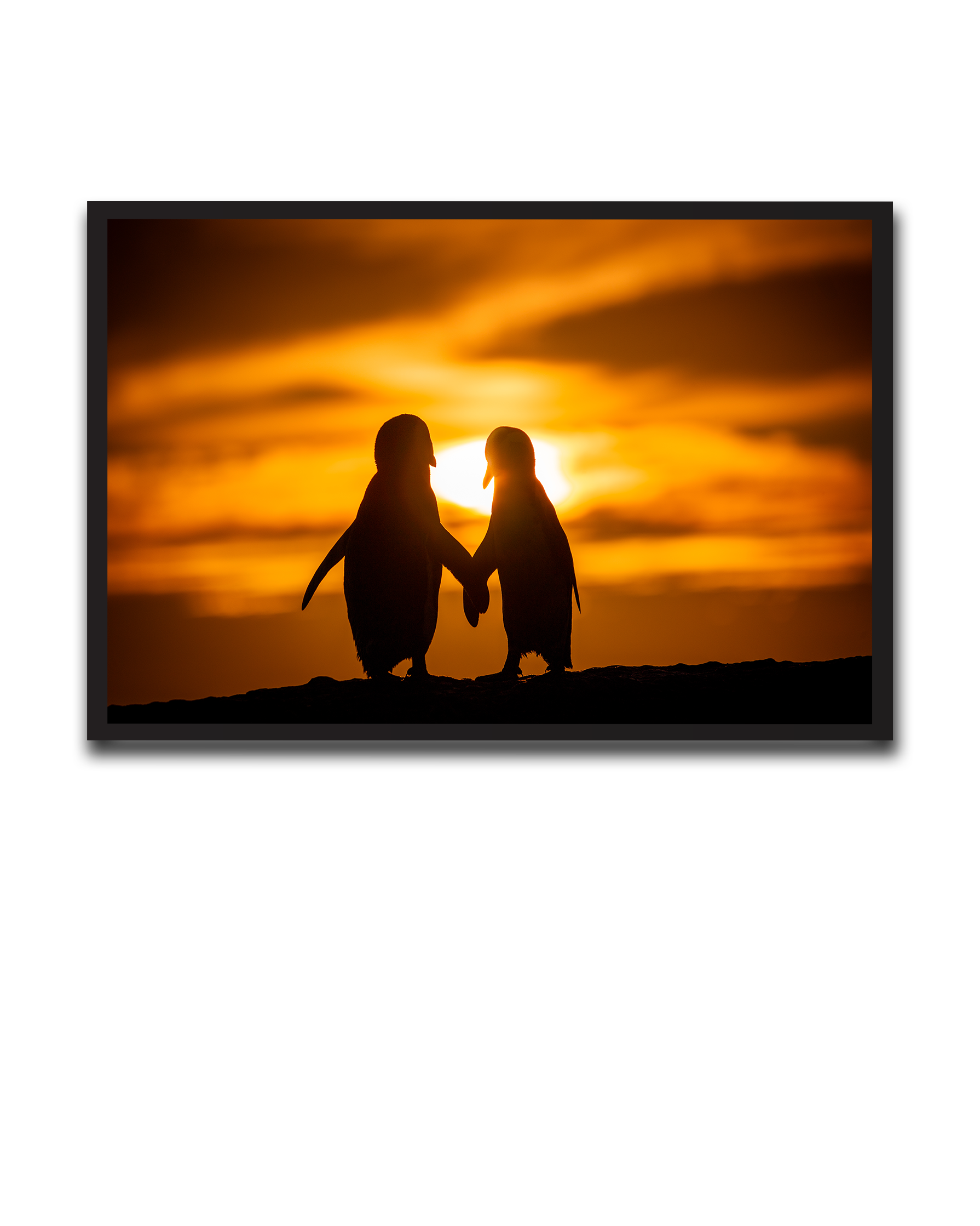 Alvin_Bagnesa_01a01878-87b5-75c0-8b8c-bab2d3ecb829_upscaled copy 7.png