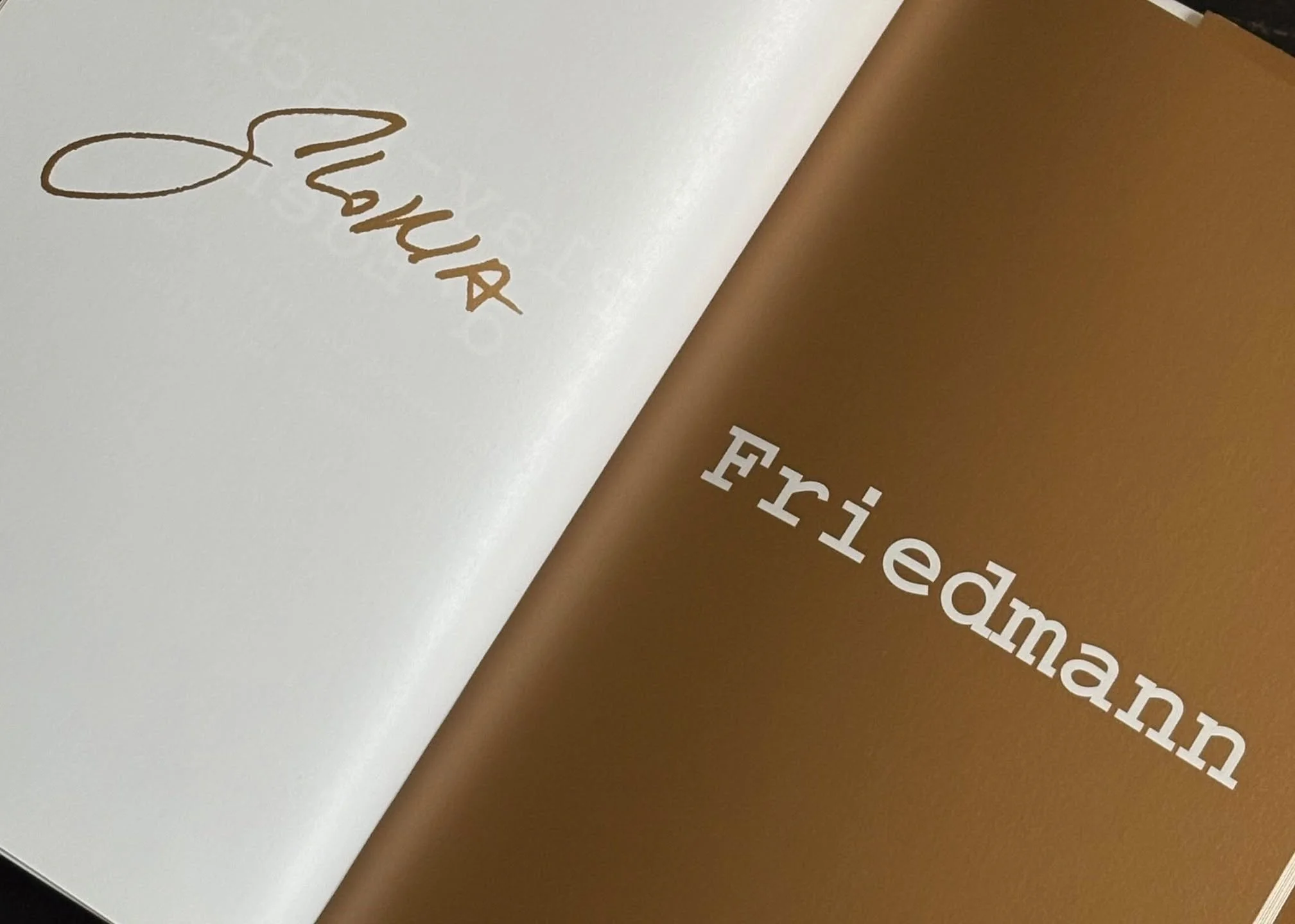 Gloria Friedmann investit la coupole des Galeries Lafayette avec l'installation Mammalia.

Retrouvez le monologue de Gloria Friedmann fac &agrave; un primate naturalis&eacute; dans notre publication Play-Back d'Eden.

#editionsjannink #livredartiste